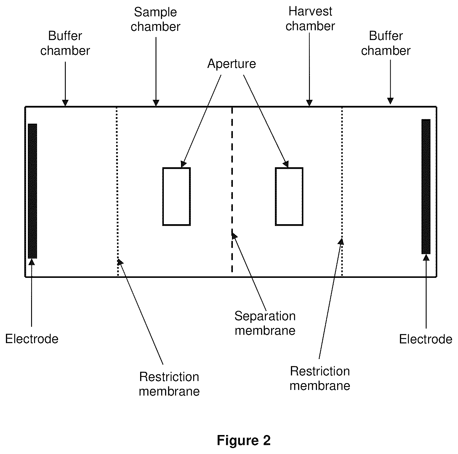 Patent US12134781 Figure 2 – Electrophoresis device