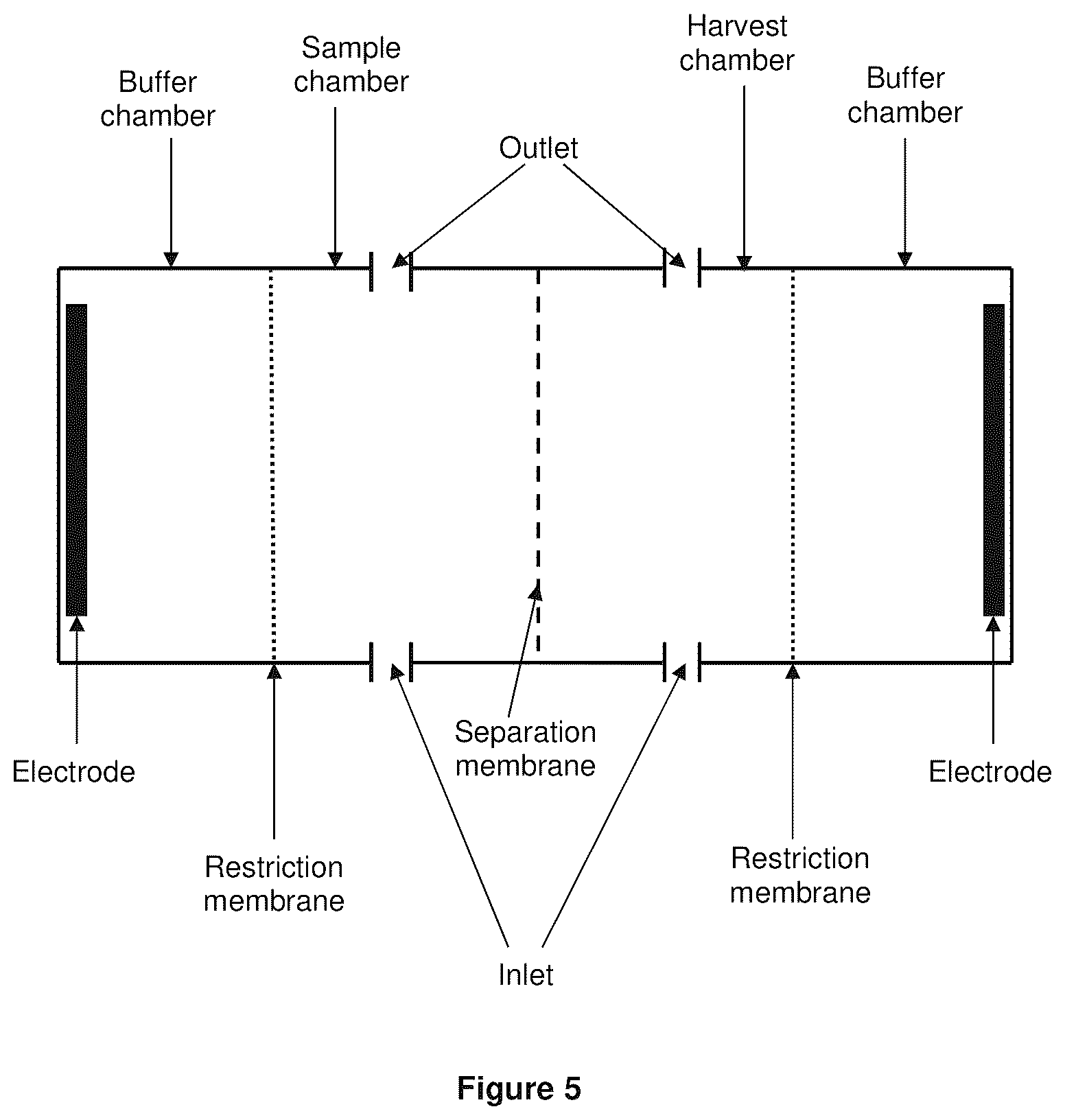 Patent US12134781 Figure 5 – Electrophoresis device