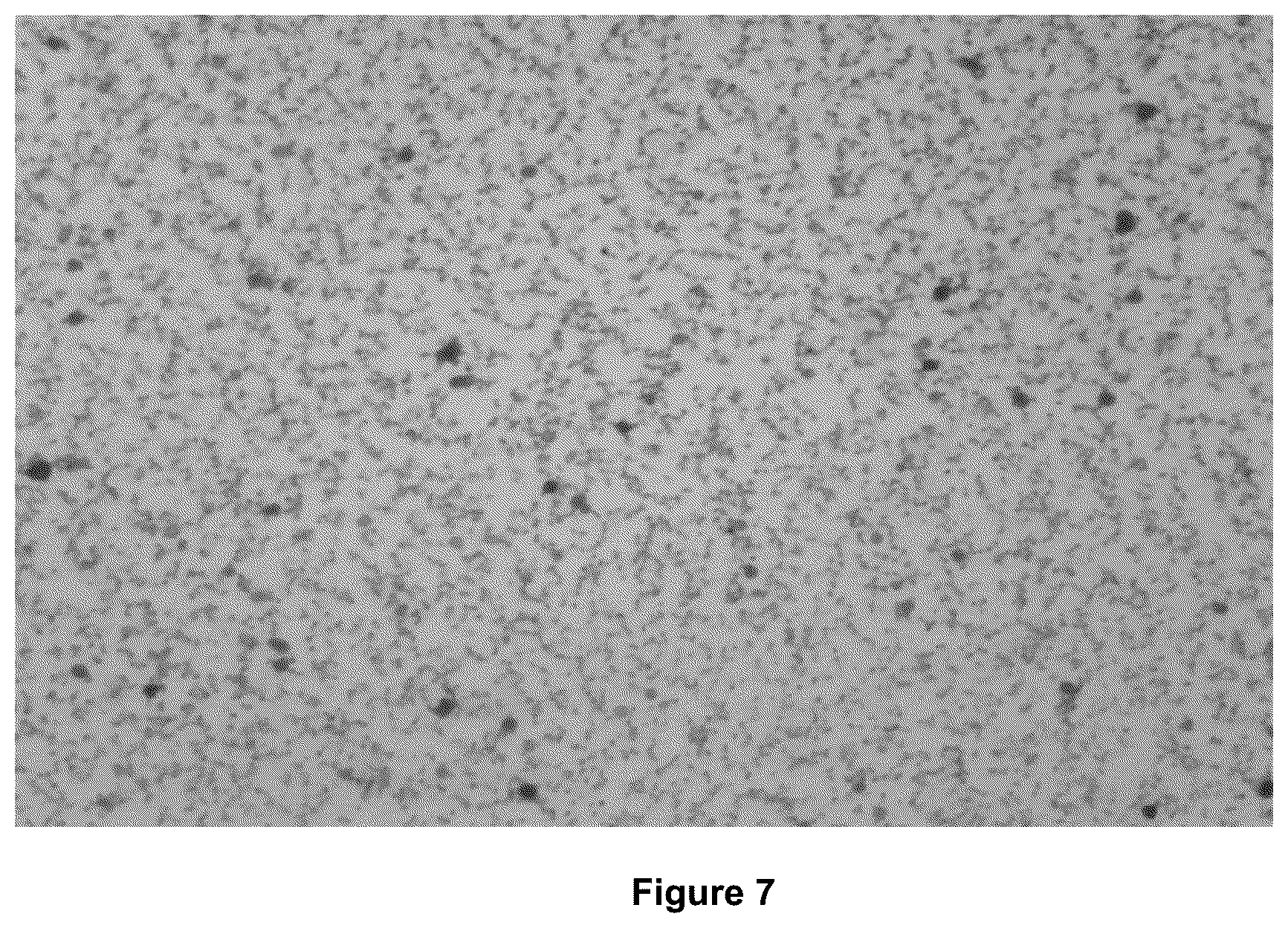 Patent US12134781 Figure 7 – Electrophoresis device