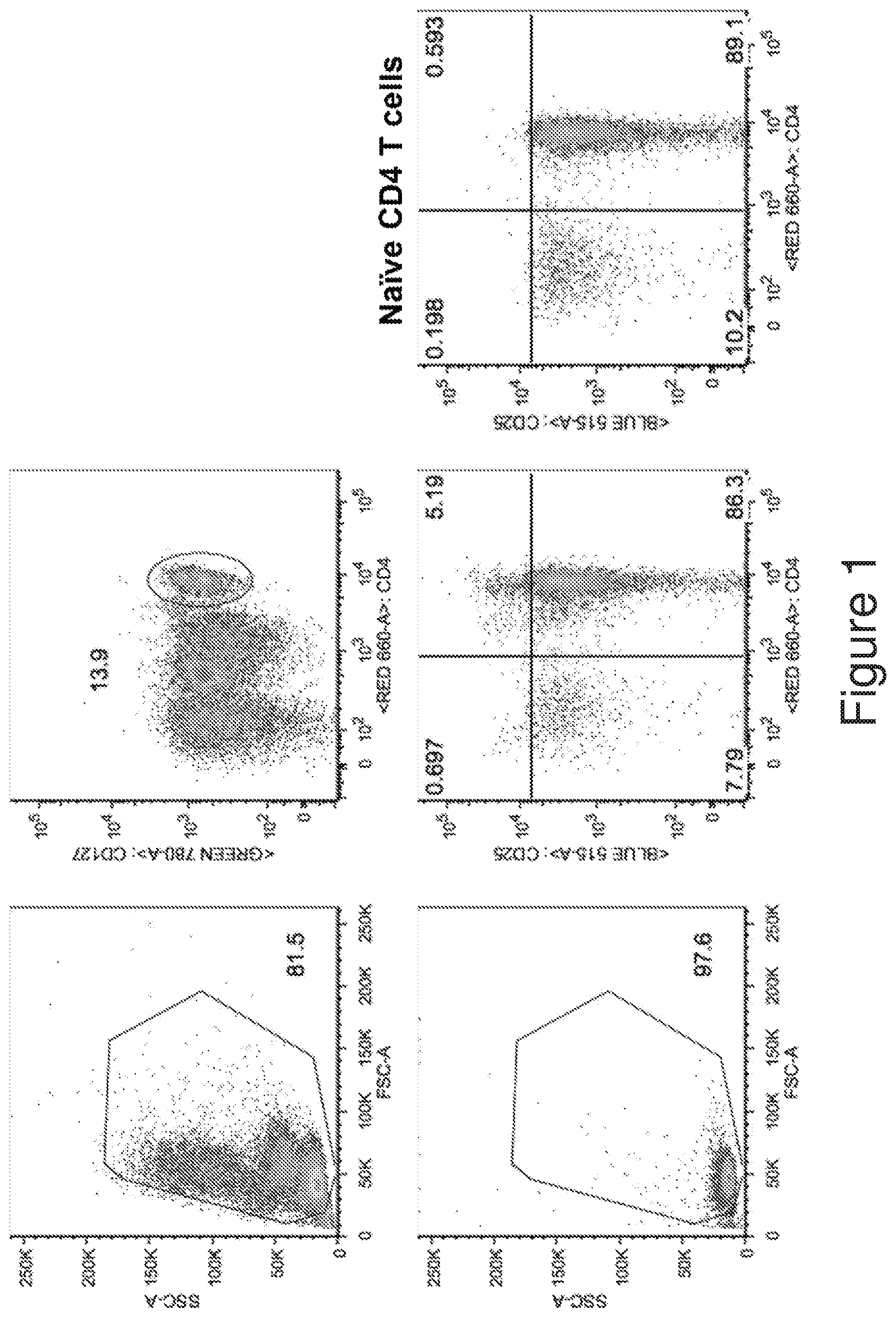 Patent US12134782 Figure 1 – T cells derived from umbilical cord blood