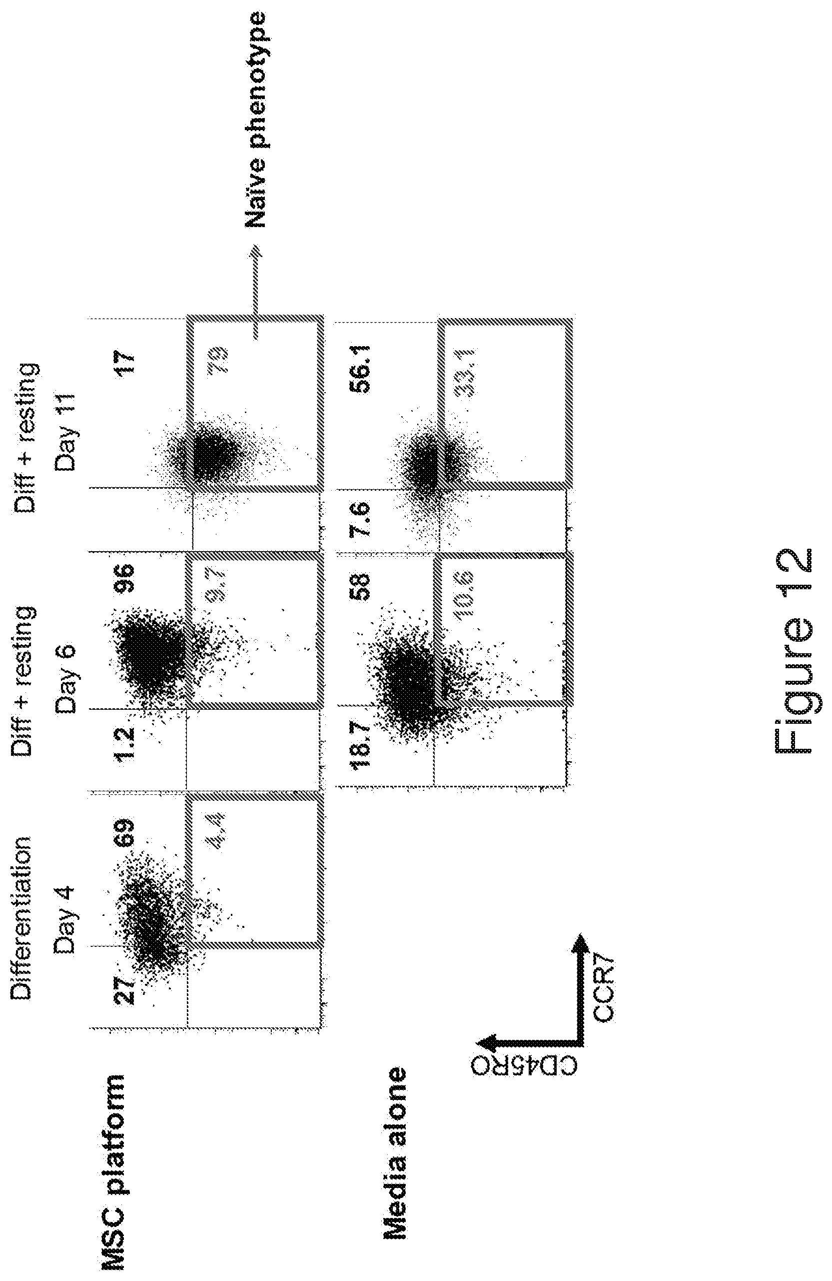 Patent US12134782 Figure 12 – T cells derived from umbilical cord blood
