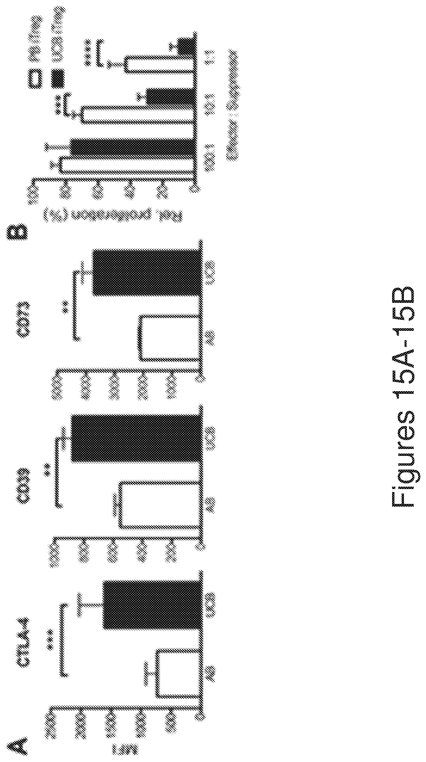 Patent US12134782 Figure 15 – T cells derived from umbilical cord blood