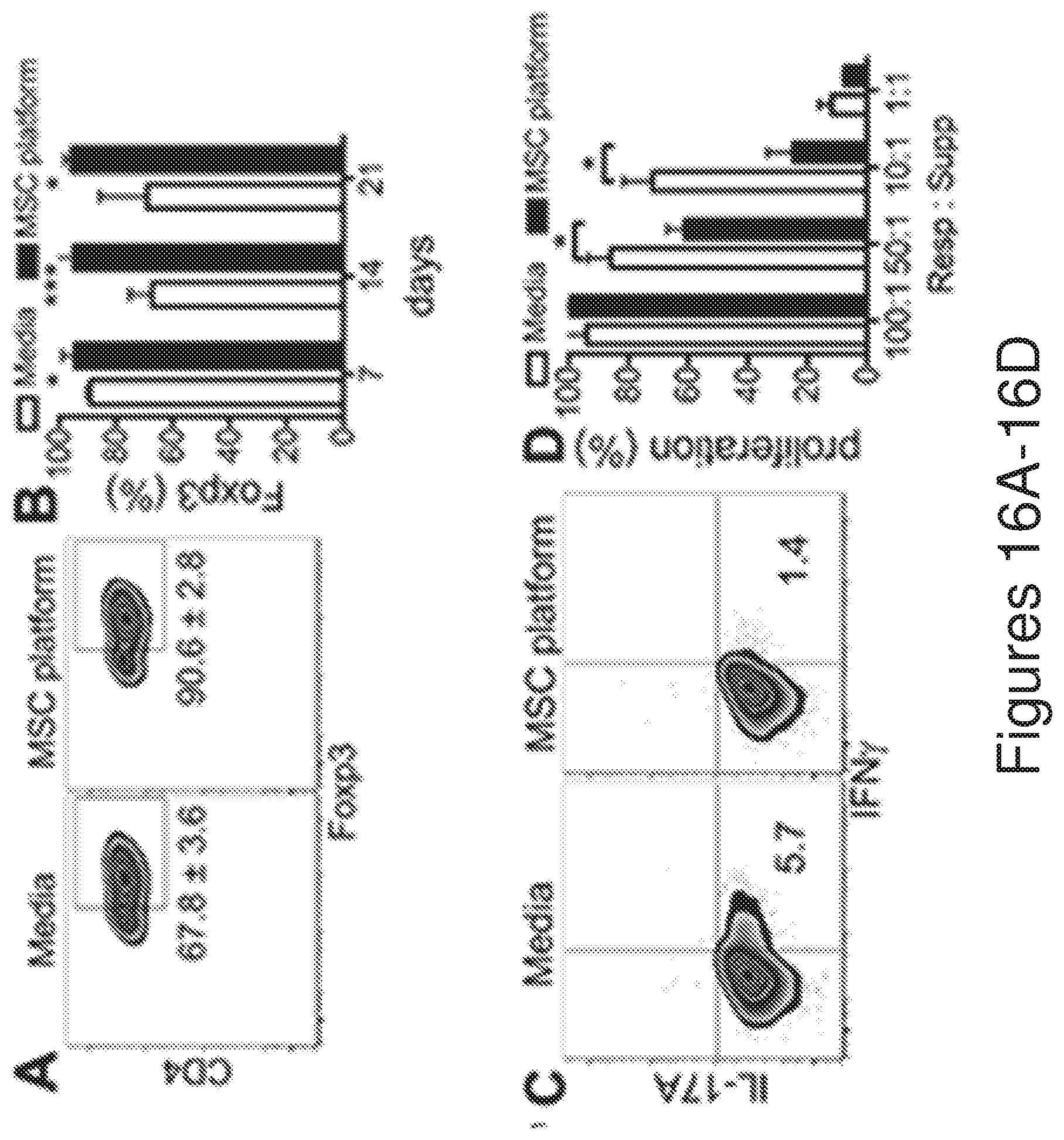 Patent US12134782 Figure 16 – T cells derived from umbilical cord blood