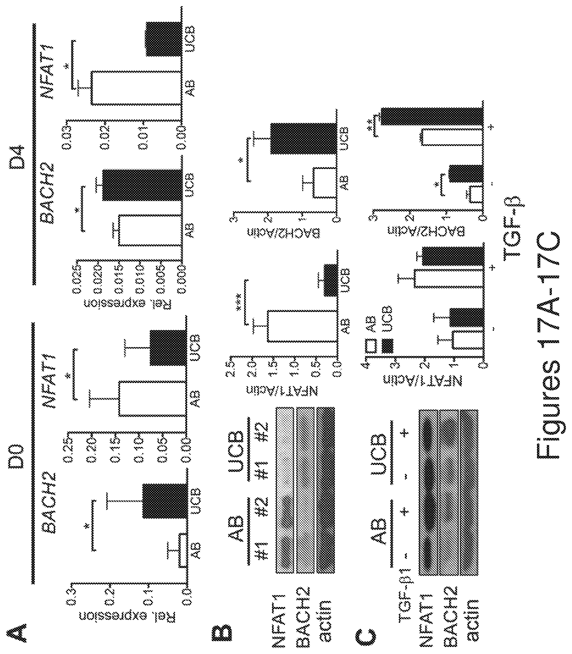 Patent US12134782 Figure 17 – T cells derived from umbilical cord blood