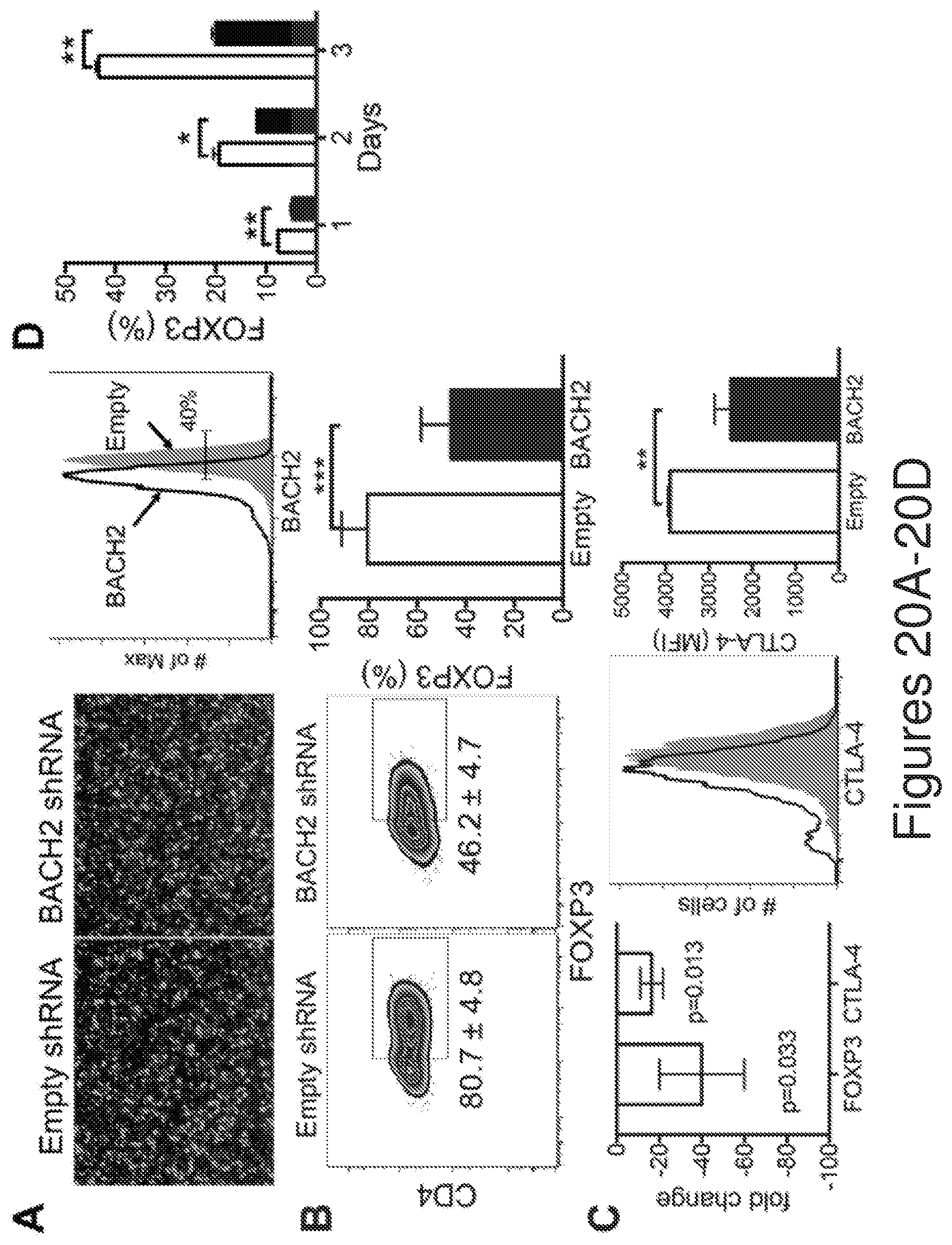 Patent US12134782 Figure 20 – T cells derived from umbilical cord blood
