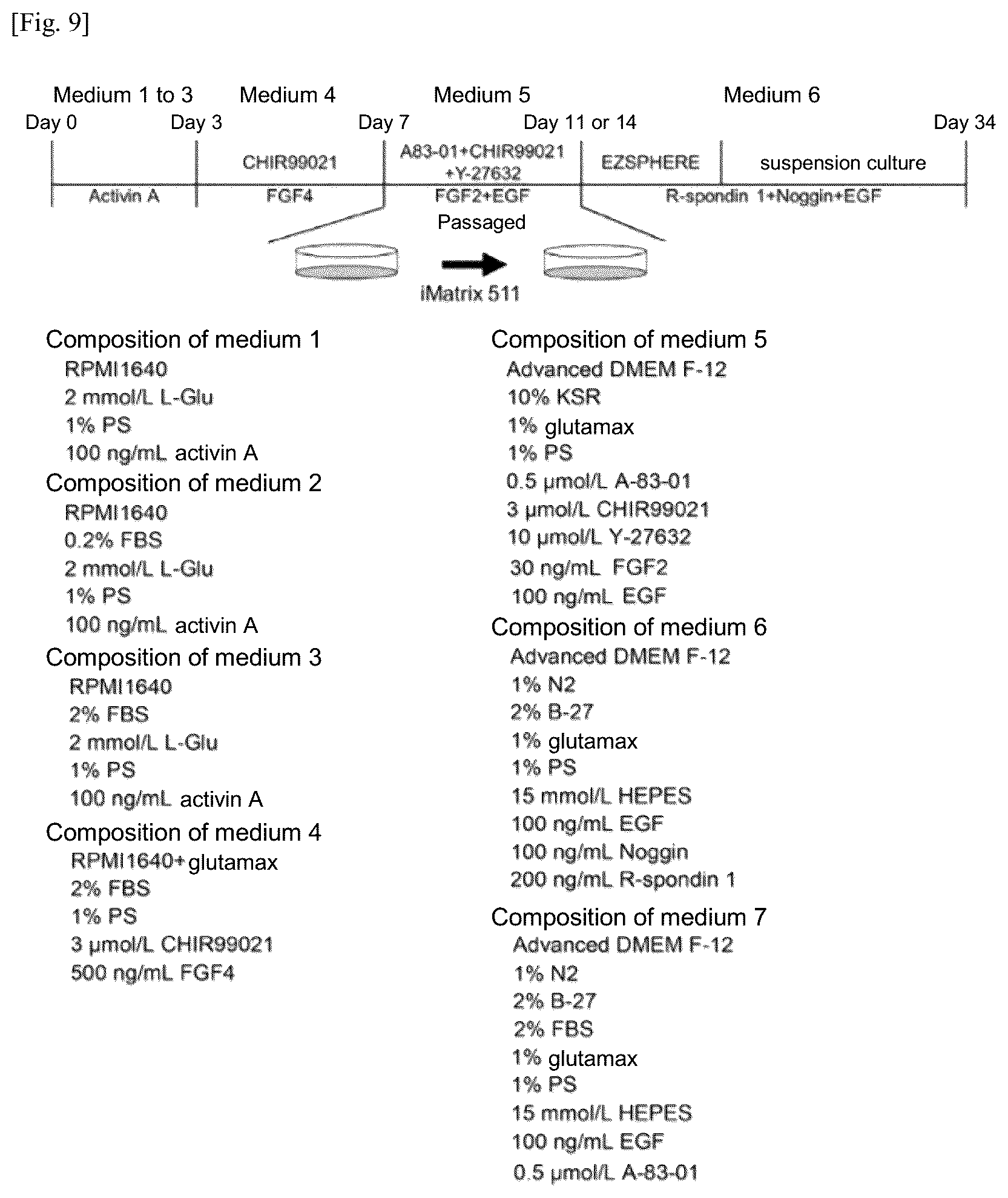 Patent US12134784 Figure 10 – Method for preparing intestinal tract cell layer derived from pluripotent stem cell