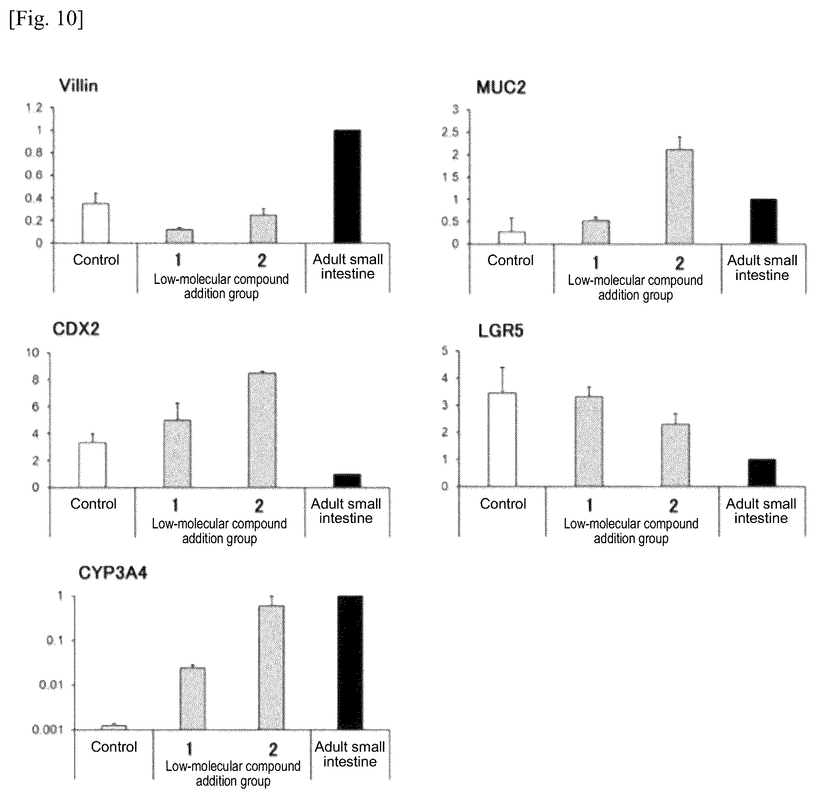Patent US12134784 Figure 11 – Method for preparing intestinal tract cell layer derived from pluripotent stem cell