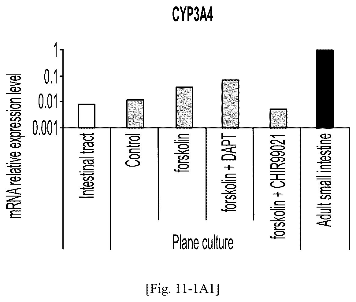 Patent US12134784 Figure 13 – Method for preparing intestinal tract cell layer derived from pluripotent stem cell