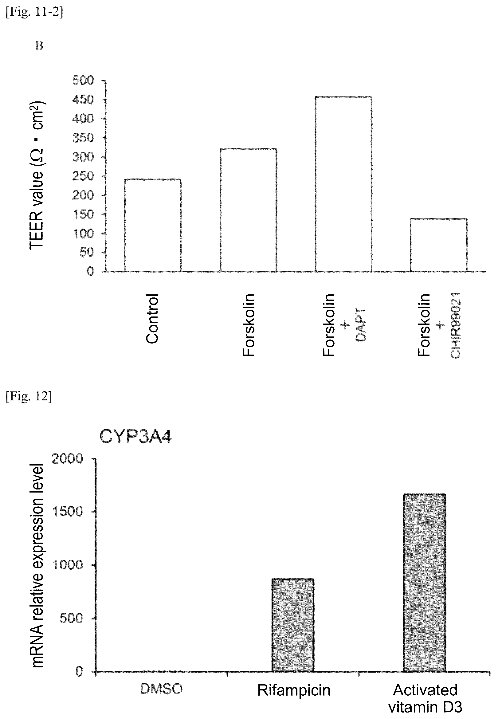 Patent US12134784 Figure 14 – Method for preparing intestinal tract cell layer derived from pluripotent stem cell