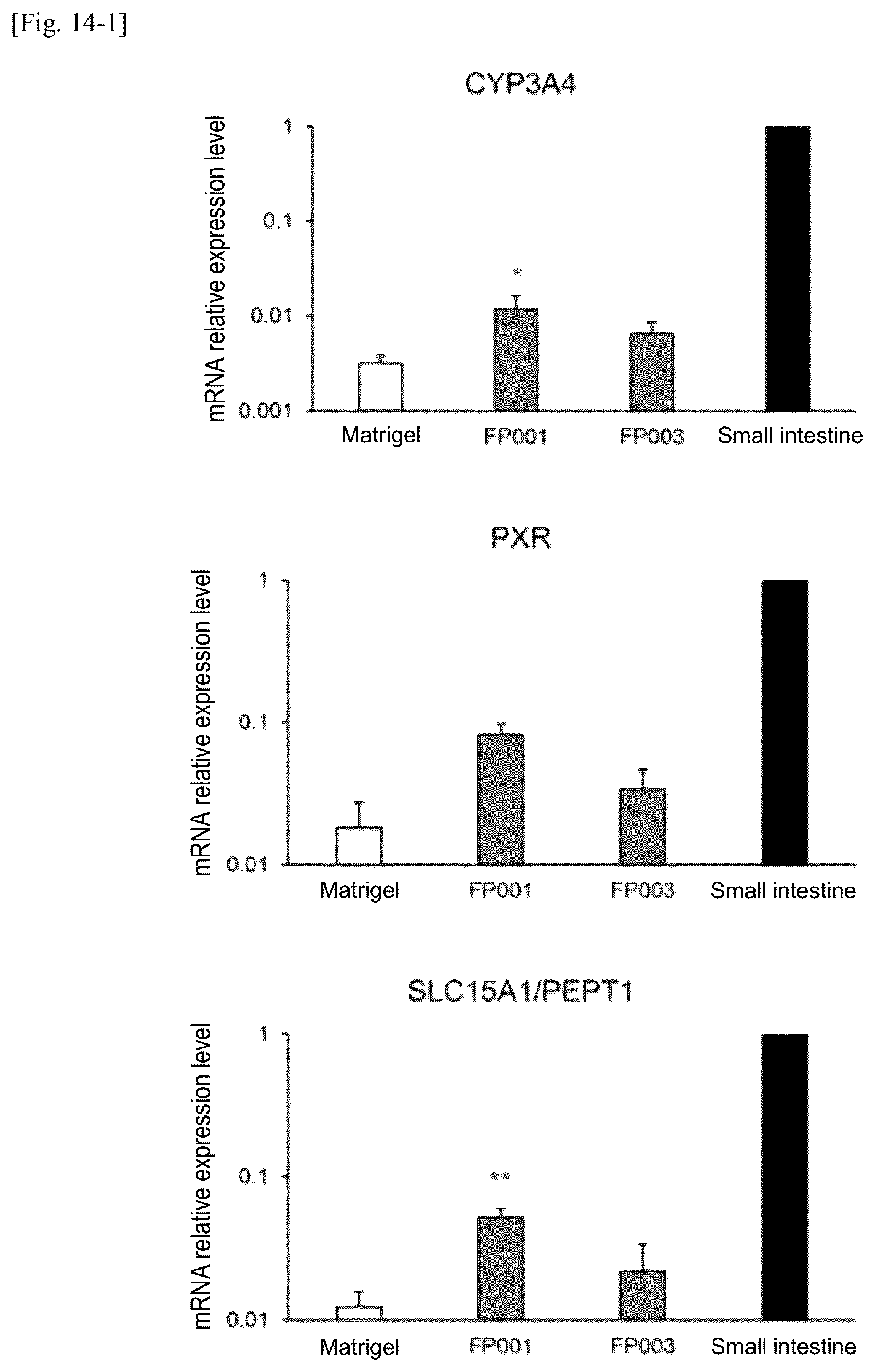 Patent US12134784 Figure 16 – Method for preparing intestinal tract cell layer derived from pluripotent stem cell