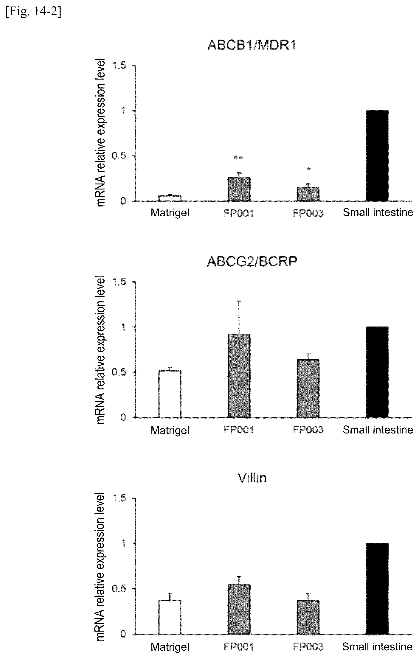 Patent US12134784 Figure 17 – Method for preparing intestinal tract cell layer derived from pluripotent stem cell