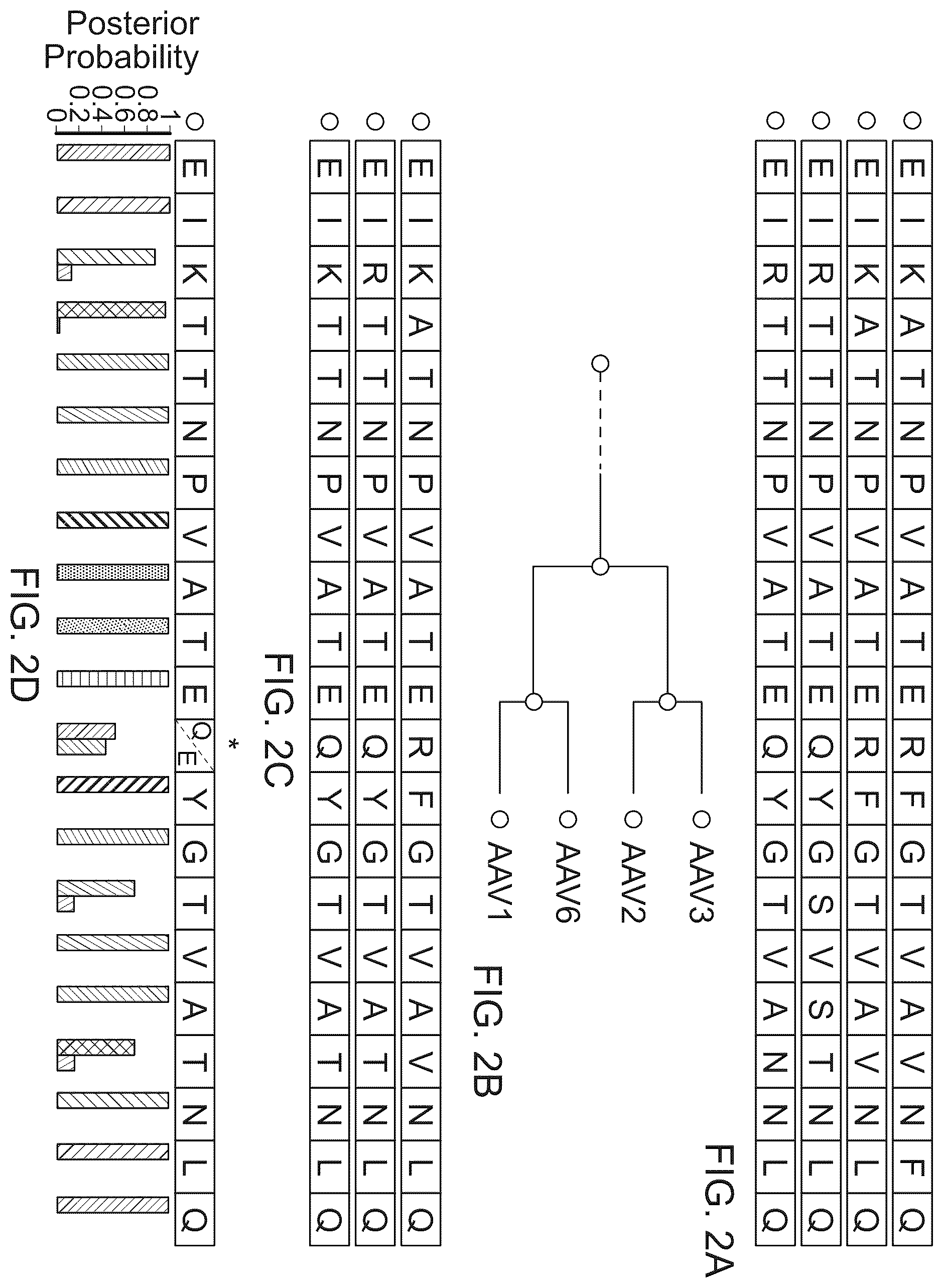 Patent US12134786 Figure 2 – Methods of predicting ancestral virus sequences and uses thereof