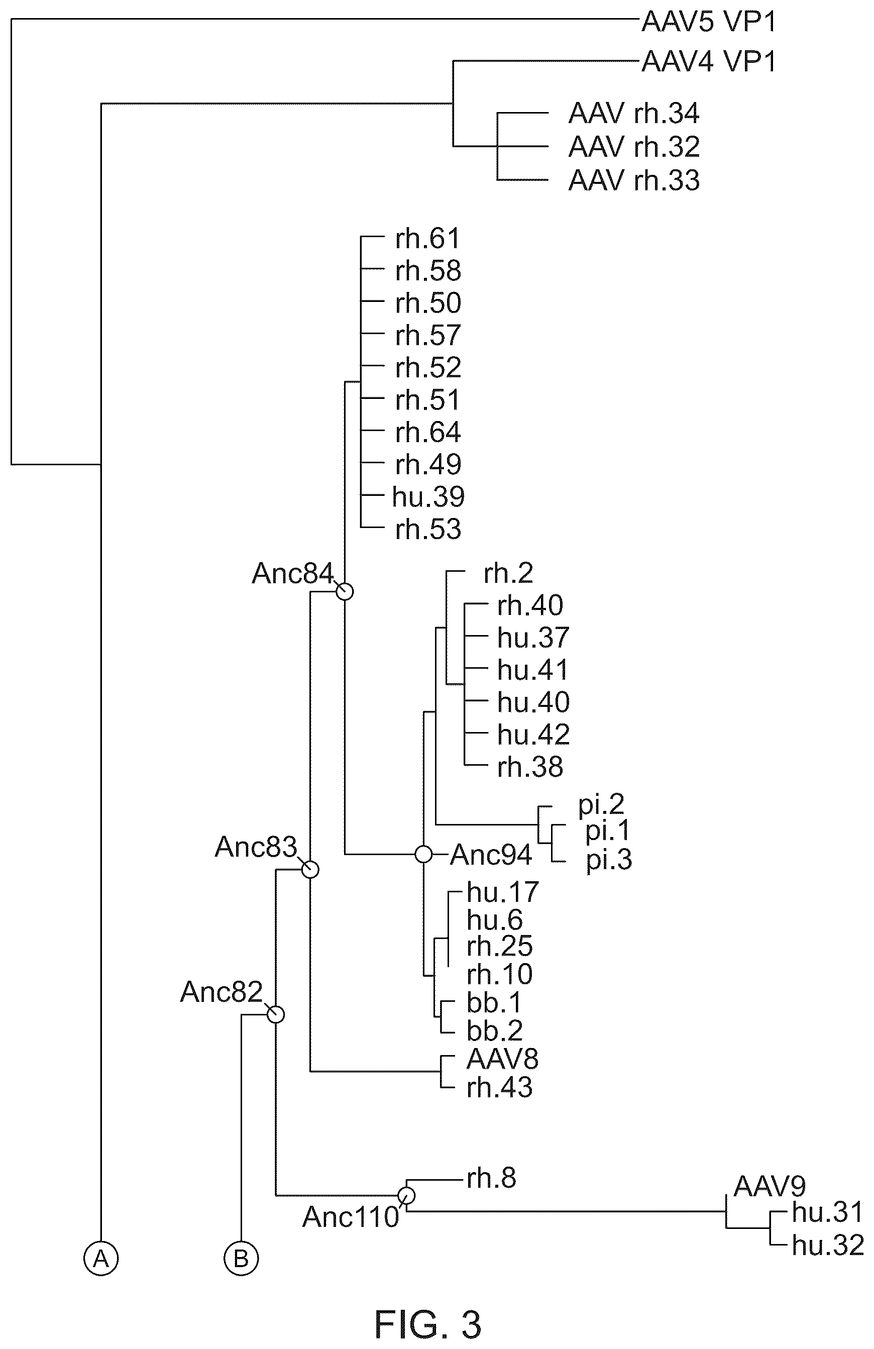 Patent US12134786 Figure 3 – Methods of predicting ancestral virus sequences and uses thereof