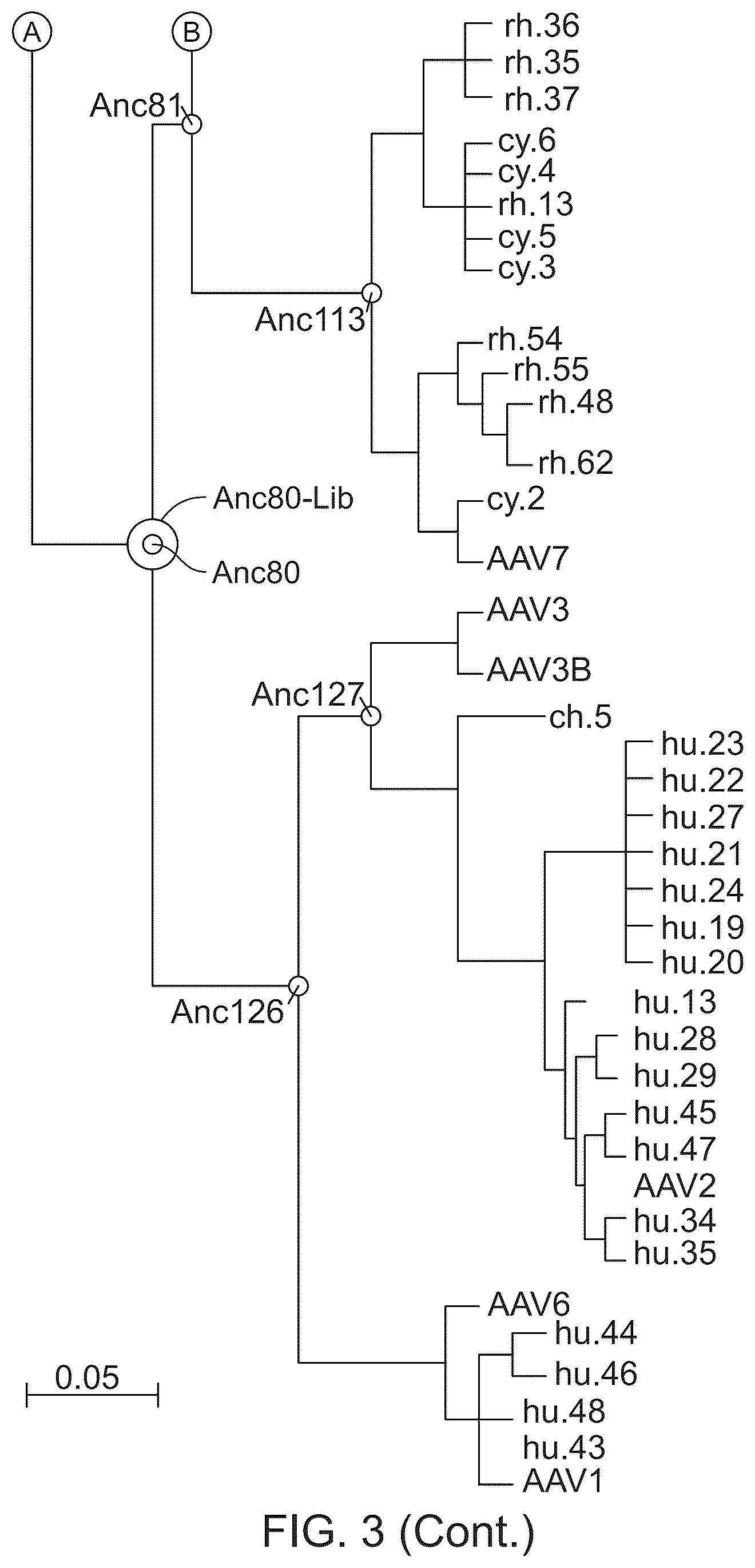 Patent US12134786 Figure 4 – Methods of predicting ancestral virus sequences and uses thereof