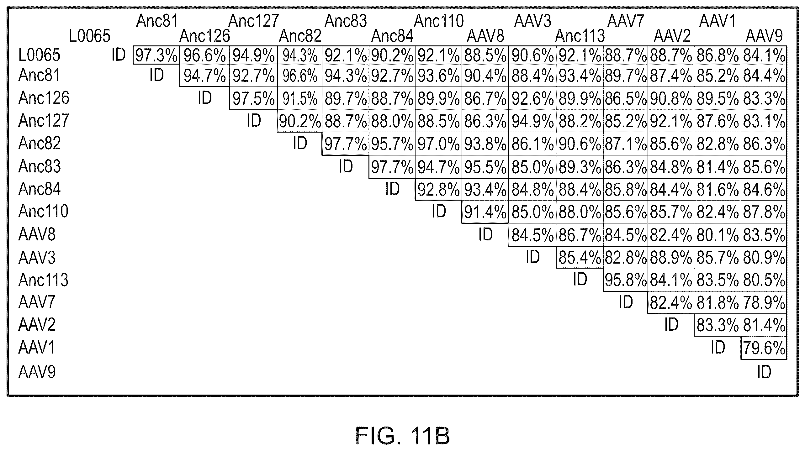 Patent US12134786 Figure 17 – Methods of predicting ancestral virus sequences and uses thereof
