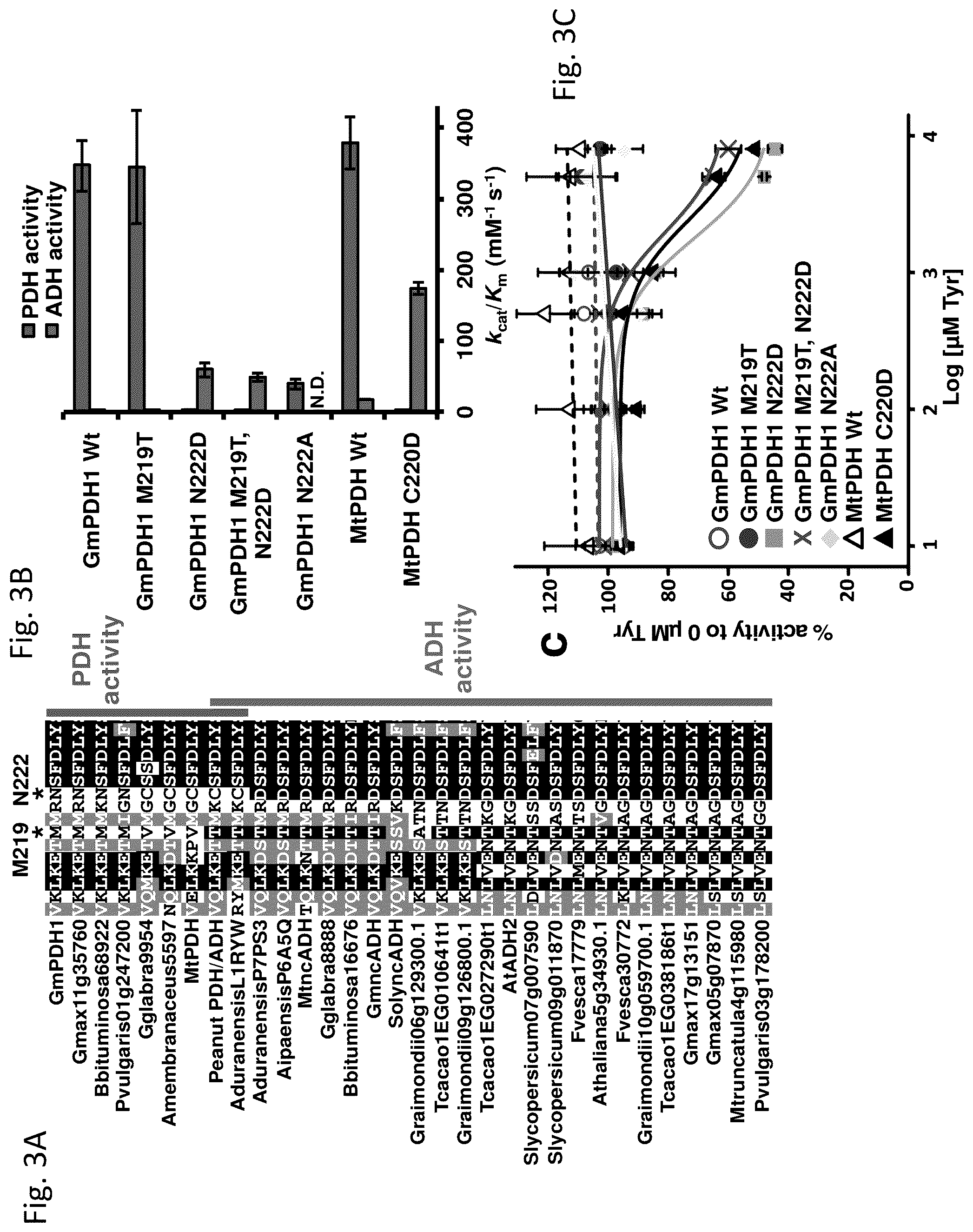 Patent US12134788 Figure 3 – Engineered prephenate dehydrogenases and arogenate dehydrogenases and methods of using the same