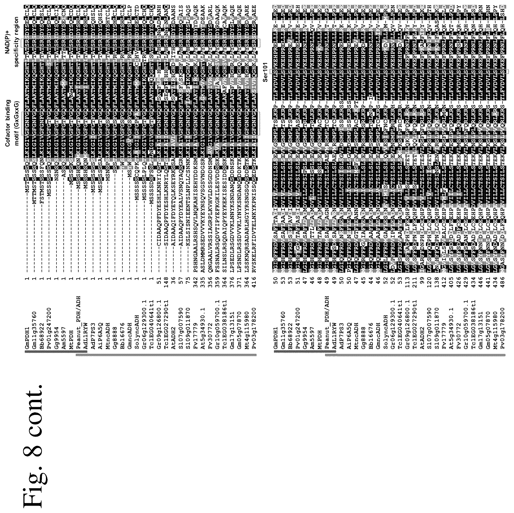 Patent US12134788 Figure 11 – Engineered prephenate dehydrogenases and arogenate dehydrogenases and methods of using the same