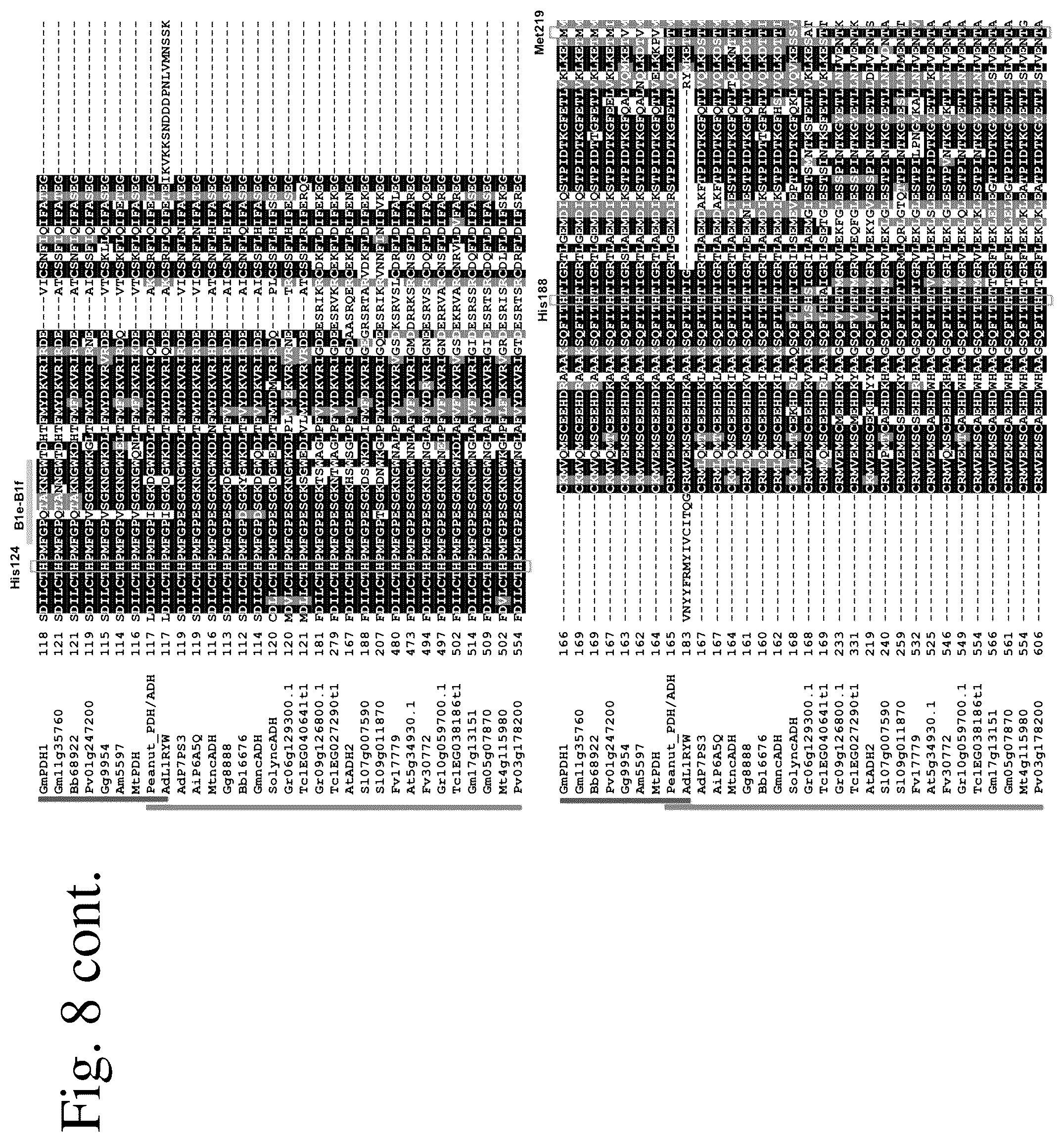 Patent US12134788 Figure 12 – Engineered prephenate dehydrogenases and arogenate dehydrogenases and methods of using the same