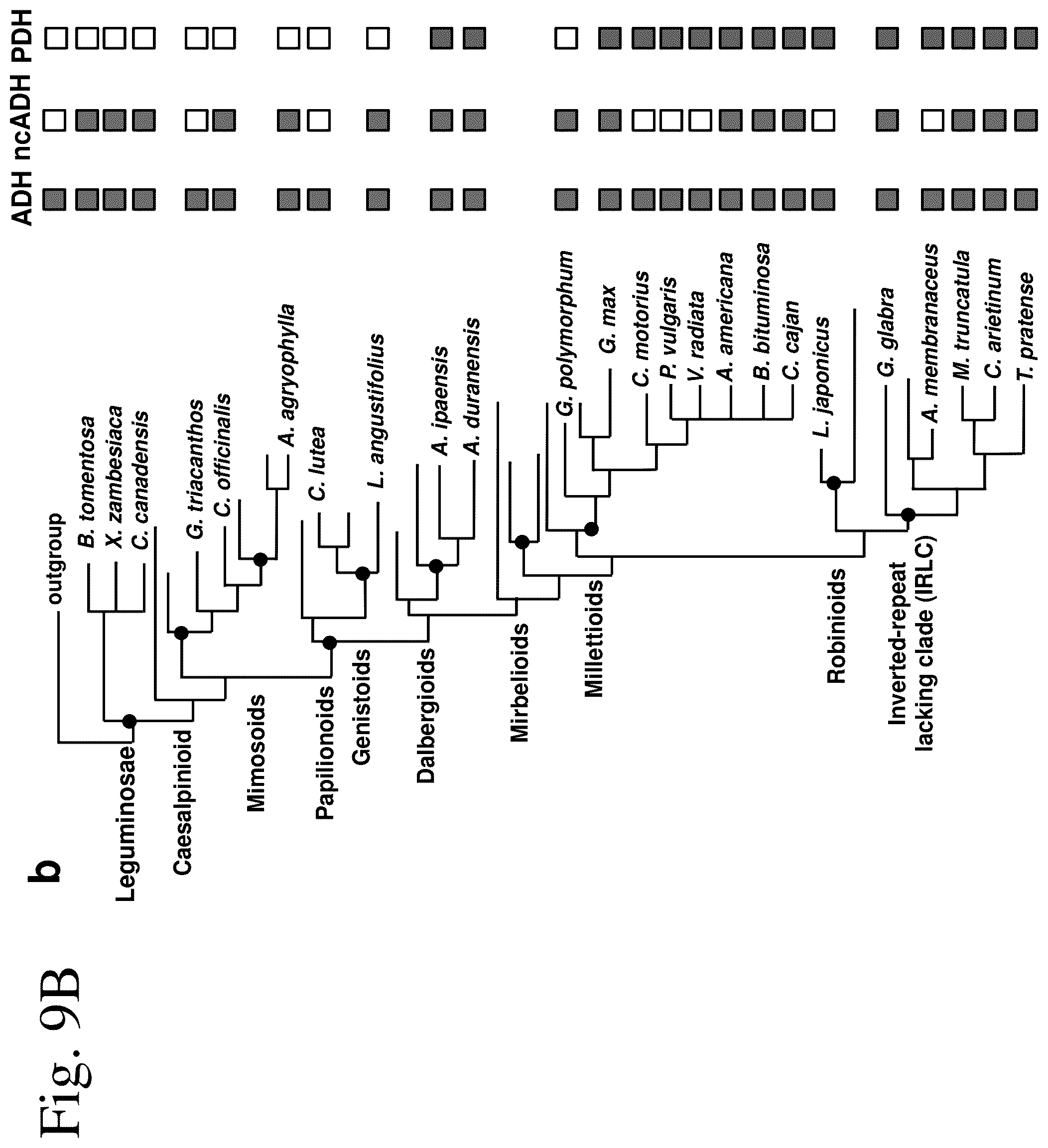 Patent US12134788 Figure 15 – Engineered prephenate dehydrogenases and arogenate dehydrogenases and methods of using the same