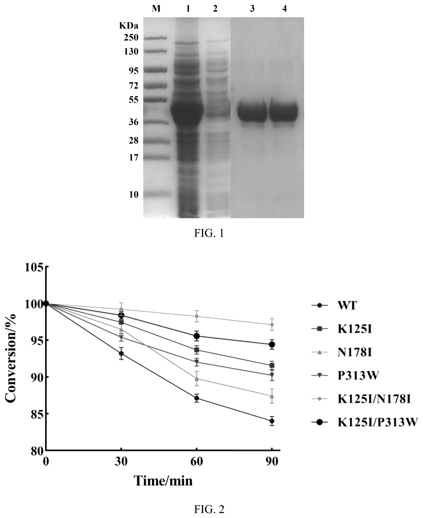 Patent US12134789 Figure 1 – Construction method and applications of glycosyltransferase BS-YjiC mutant