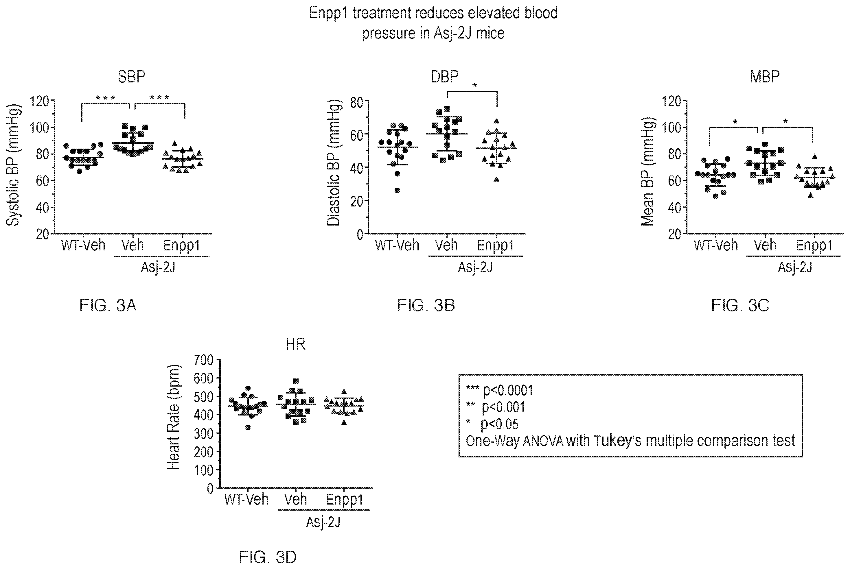 Patent US12134790 Figure 3 – Methods of improving cardiovascular function and treating cardiovascular disease using a recombinant ectonucleotide pyrophosphatase phosphodiesterase (NPP1)