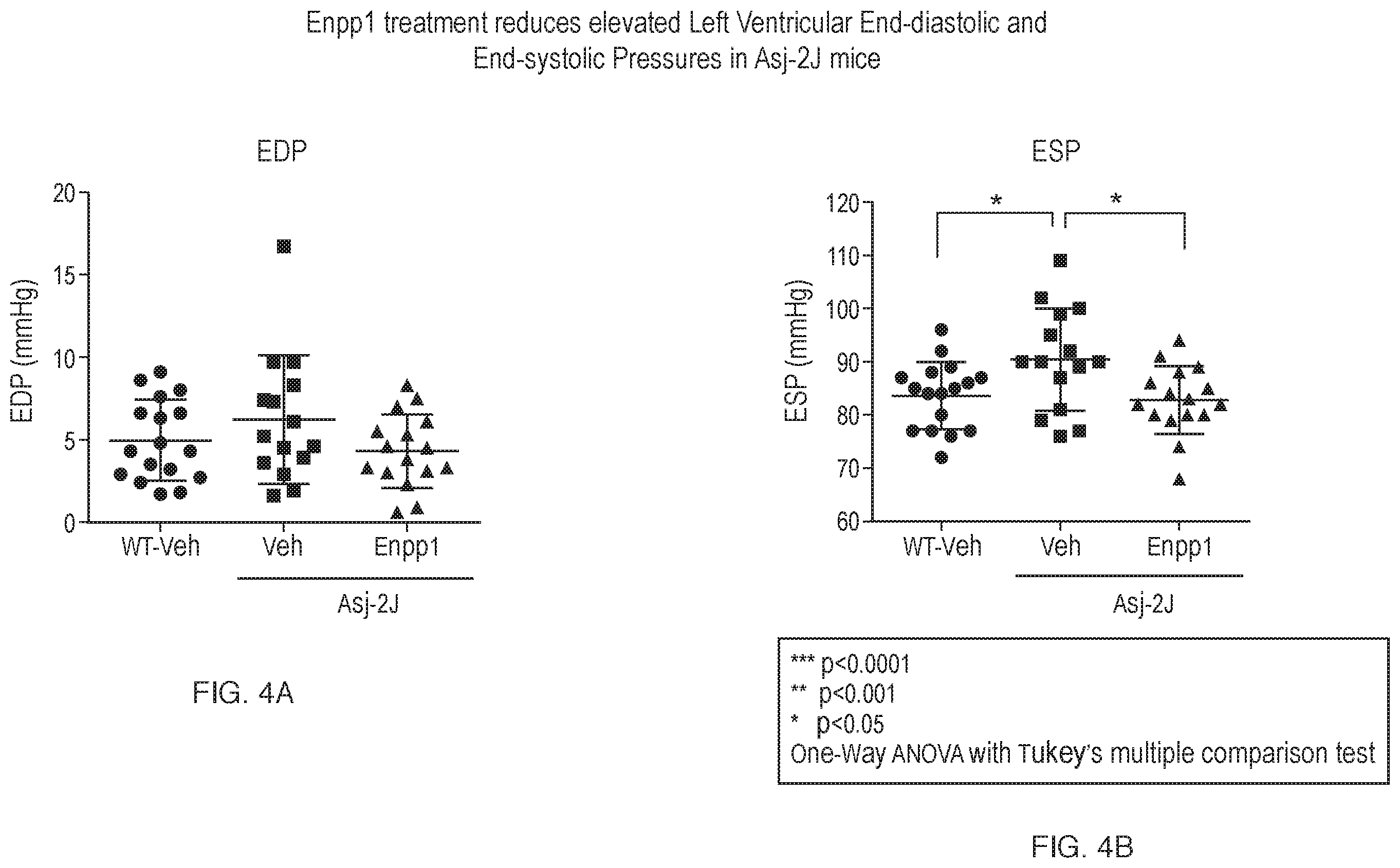 Patent US12134790 Figure 4 – Methods of improving cardiovascular function and treating cardiovascular disease using a recombinant ectonucleotide pyrophosphatase phosphodiesterase (NPP1)