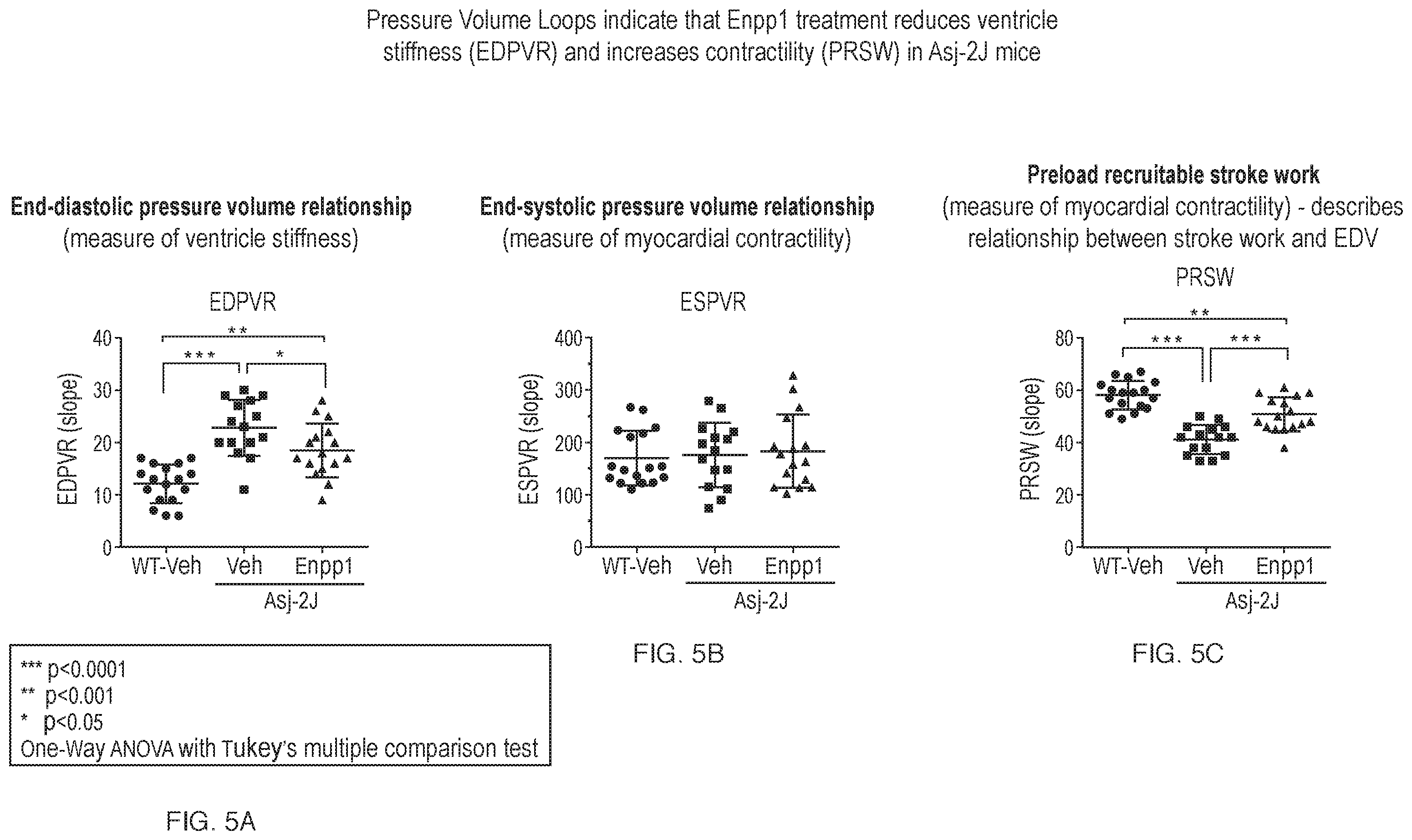 Patent US12134790 Figure 5 – Methods of improving cardiovascular function and treating cardiovascular disease using a recombinant ectonucleotide pyrophosphatase phosphodiesterase (NPP1)