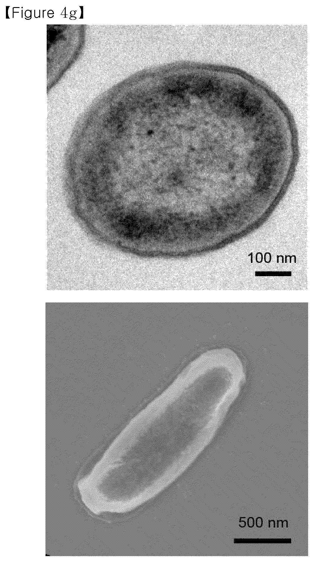 Patent US12134793 Figure 15 – Recombinant microorganism having increased ability to produce hydrophobic material and cell-membrane engineering method for preparation thereof