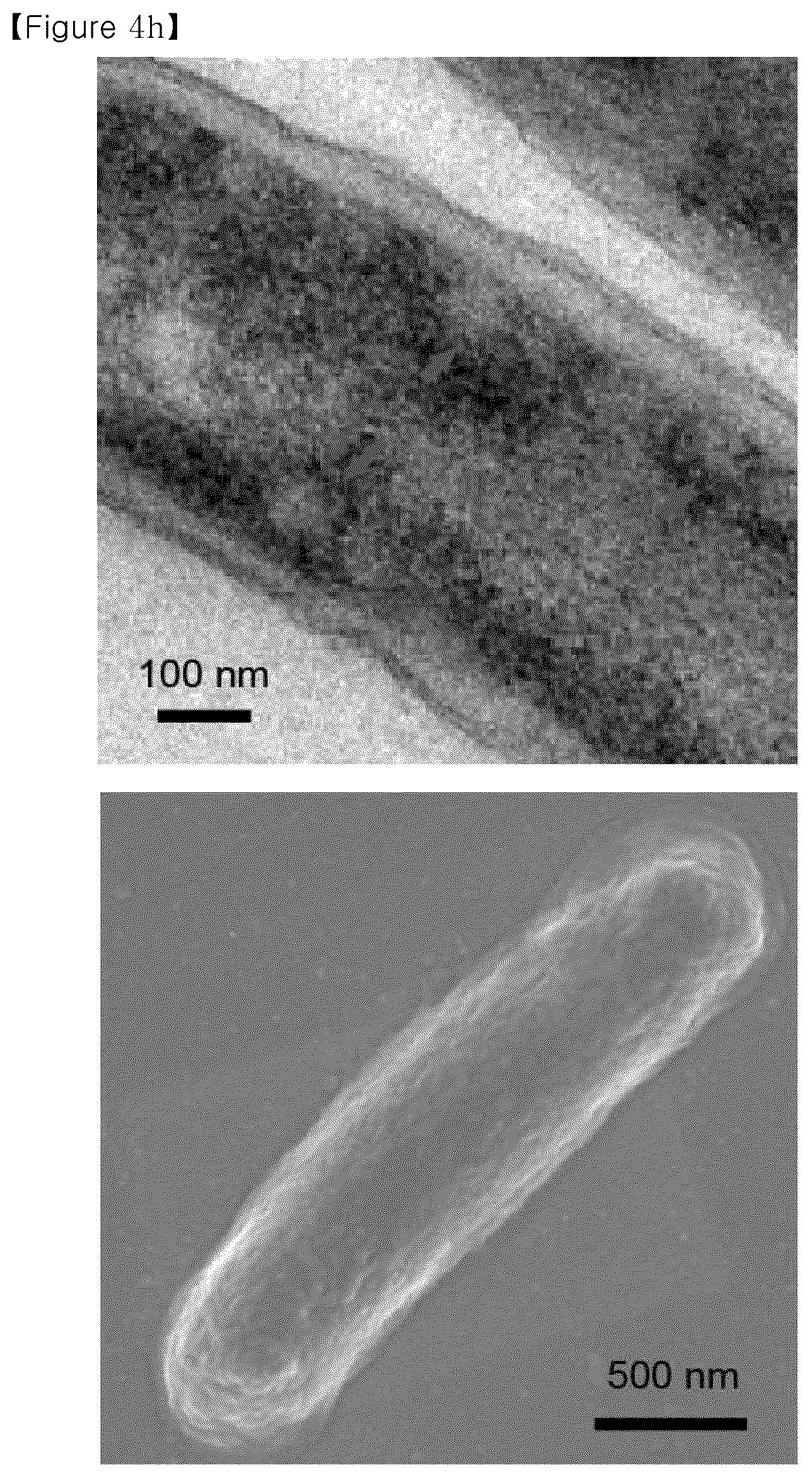 Patent US12134793 Figure 16 – Recombinant microorganism having increased ability to produce hydrophobic material and cell-membrane engineering method for preparation thereof