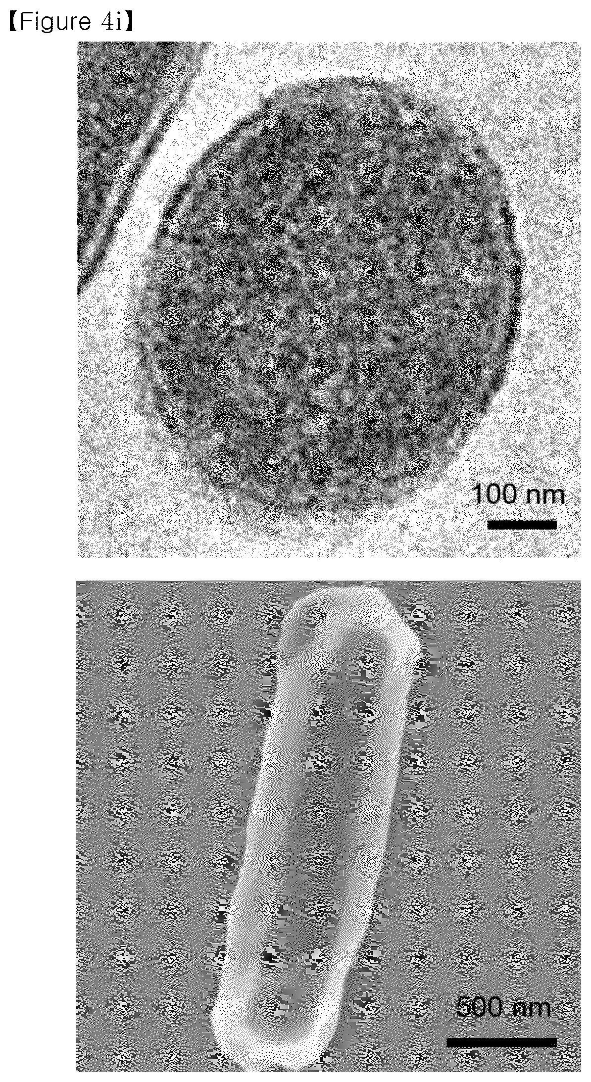 Patent US12134793 Figure 17 – Recombinant microorganism having increased ability to produce hydrophobic material and cell-membrane engineering method for preparation thereof