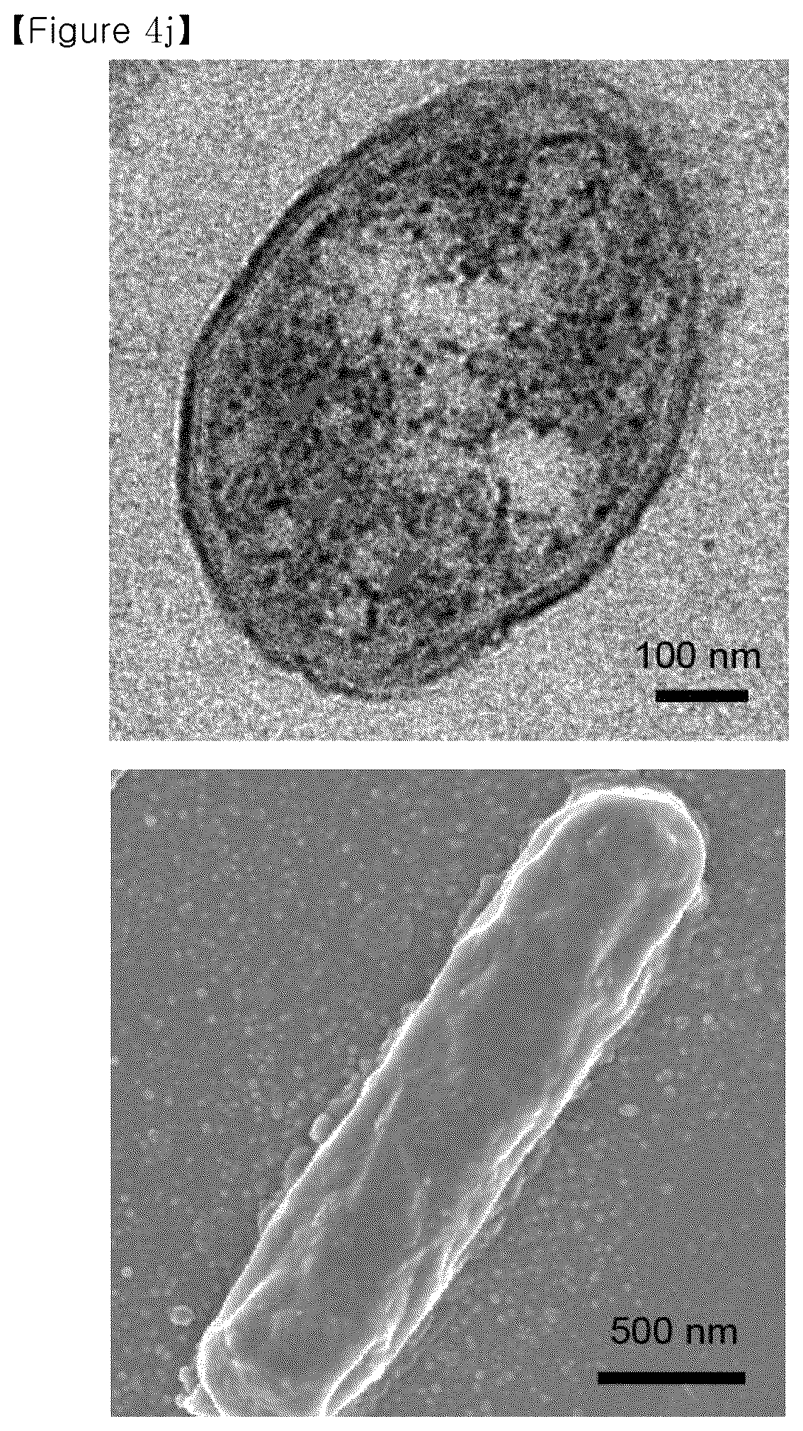 Patent US12134793 Figure 18 – Recombinant microorganism having increased ability to produce hydrophobic material and cell-membrane engineering method for preparation thereof