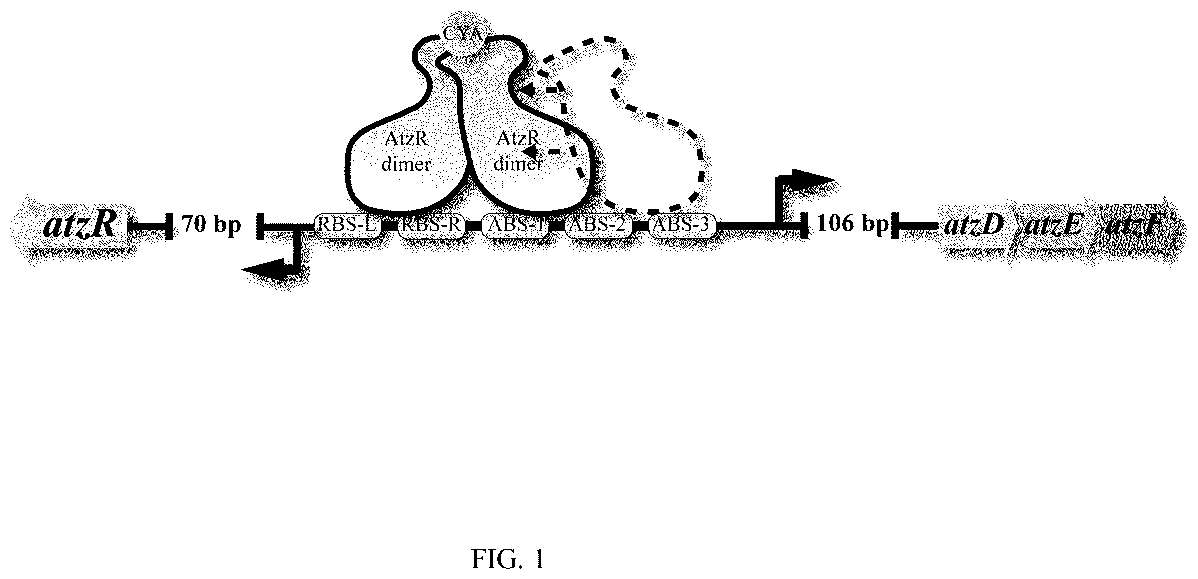 Patent US12134795 Figure 1 – Sensor for cyanuric acid detection