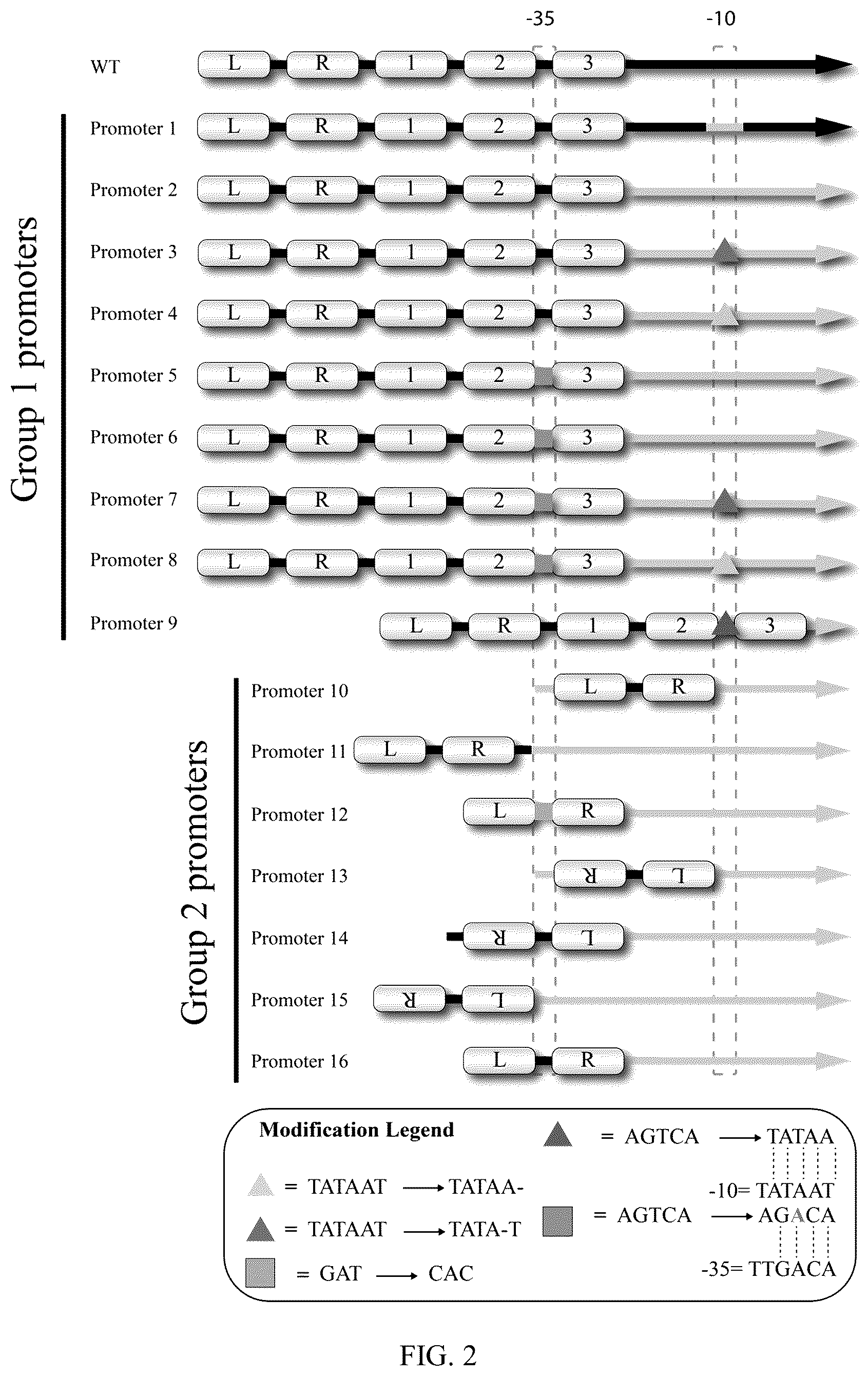 Patent US12134795 Figure 2 – Sensor for cyanuric acid detection