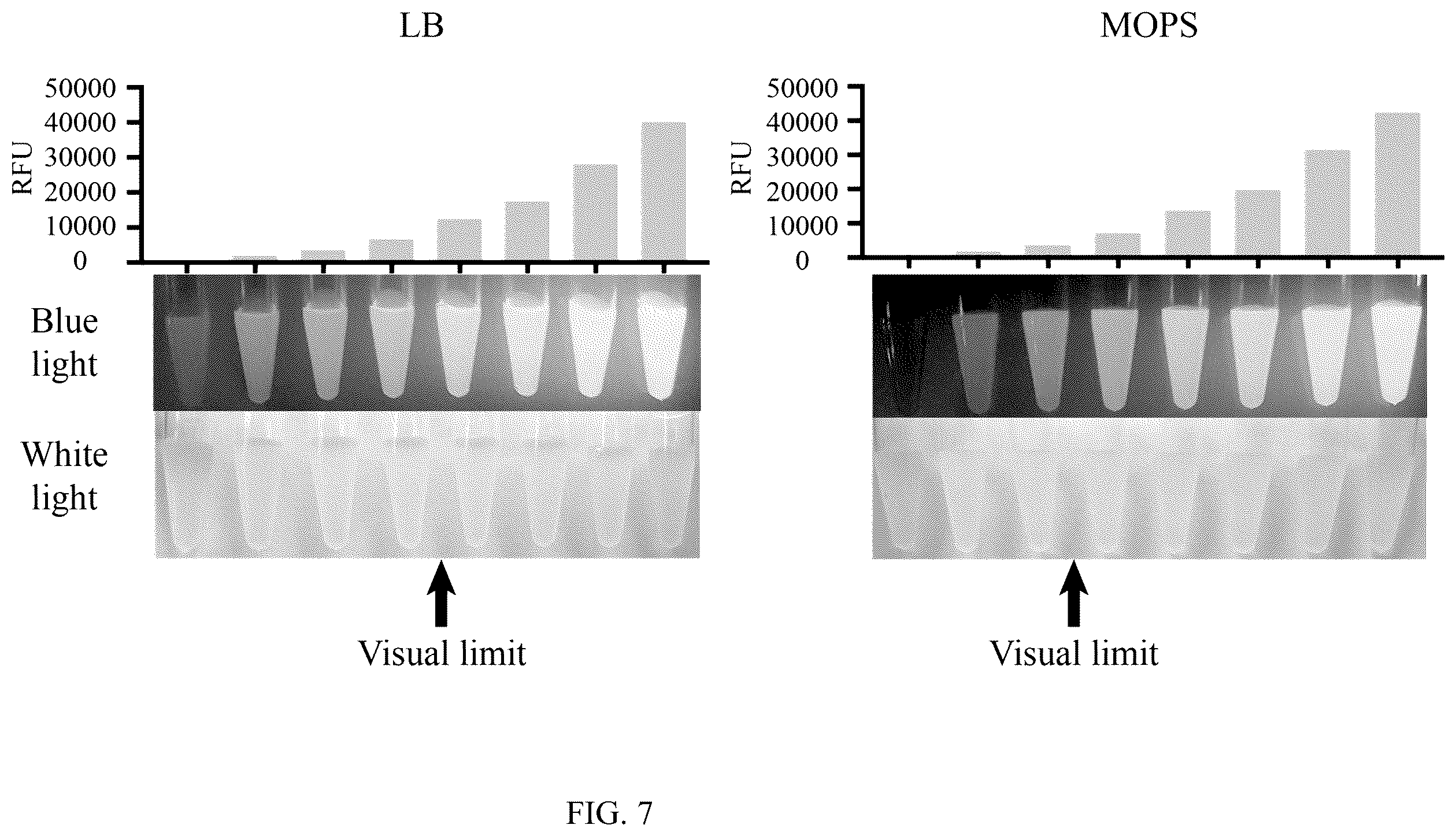 Patent US12134795 Figure 7 – Sensor for cyanuric acid detection