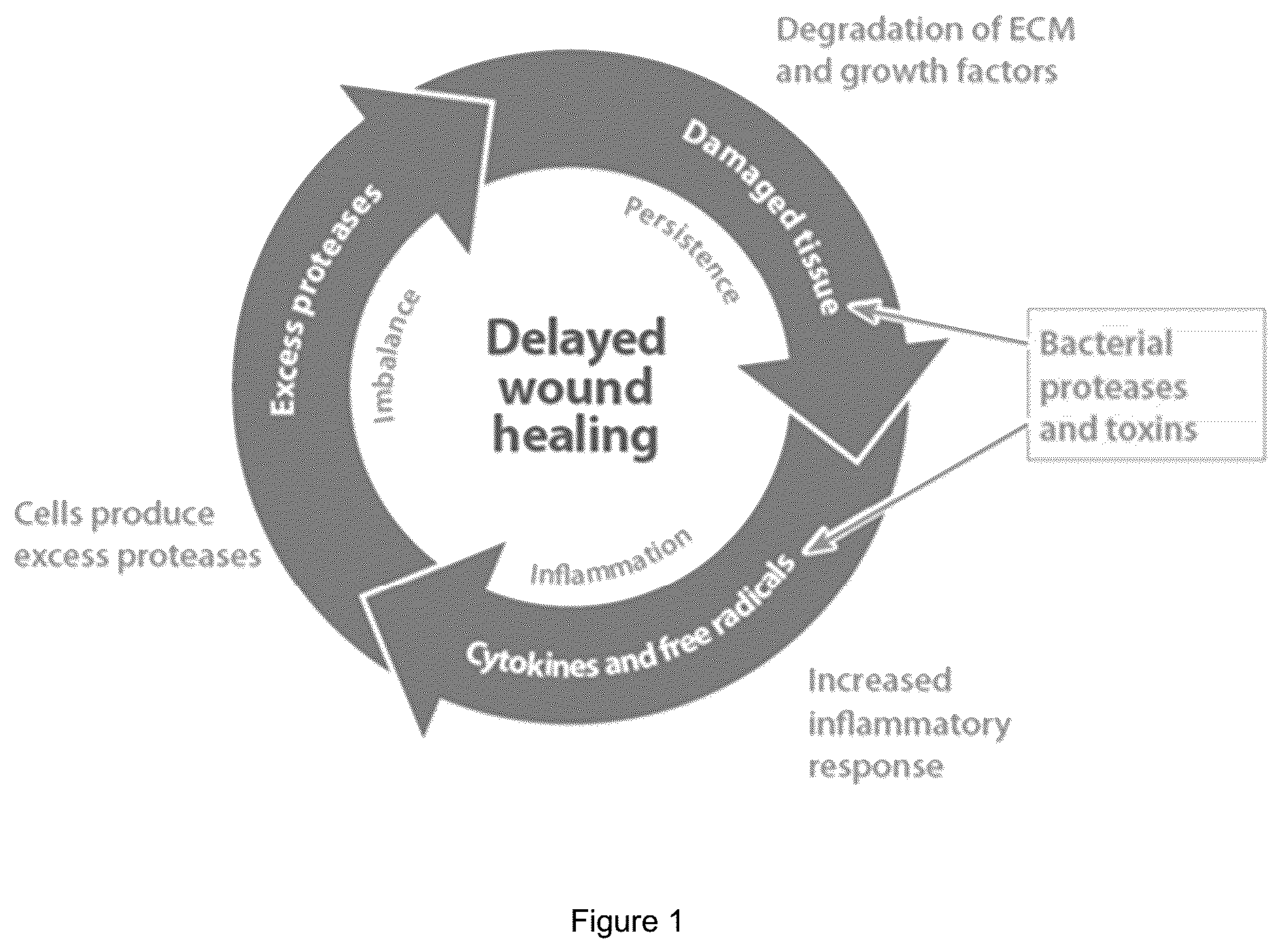 Patent US12134796 Figure 1 – Methods of prediction of wound healing