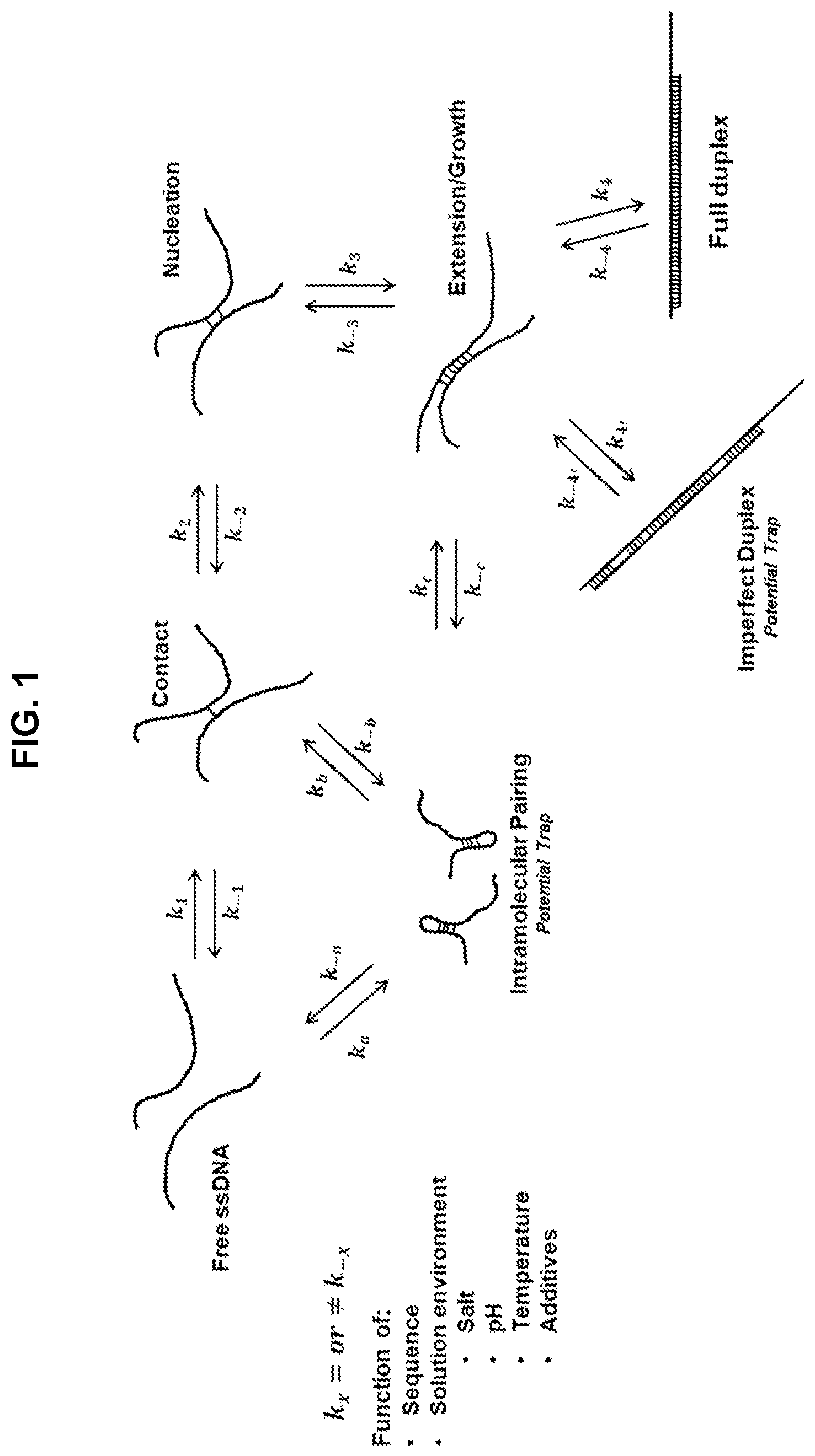 Patent US12134797 Figure 1 – Hybridization capture methods and compositions