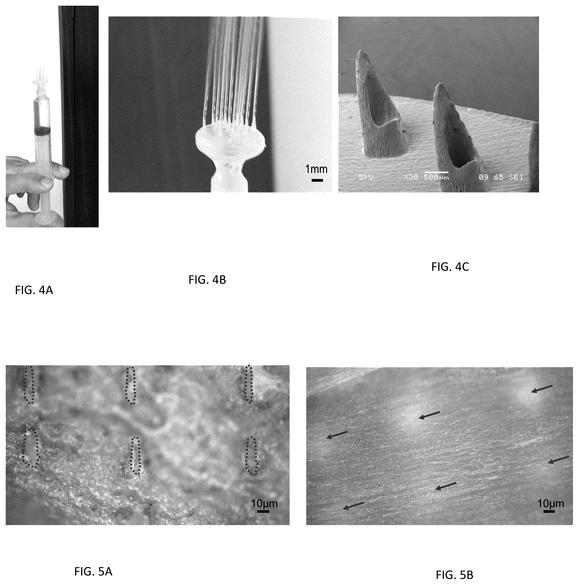 Patent US12137647 Figure 3 – Phloem-based delivery of therapeutics