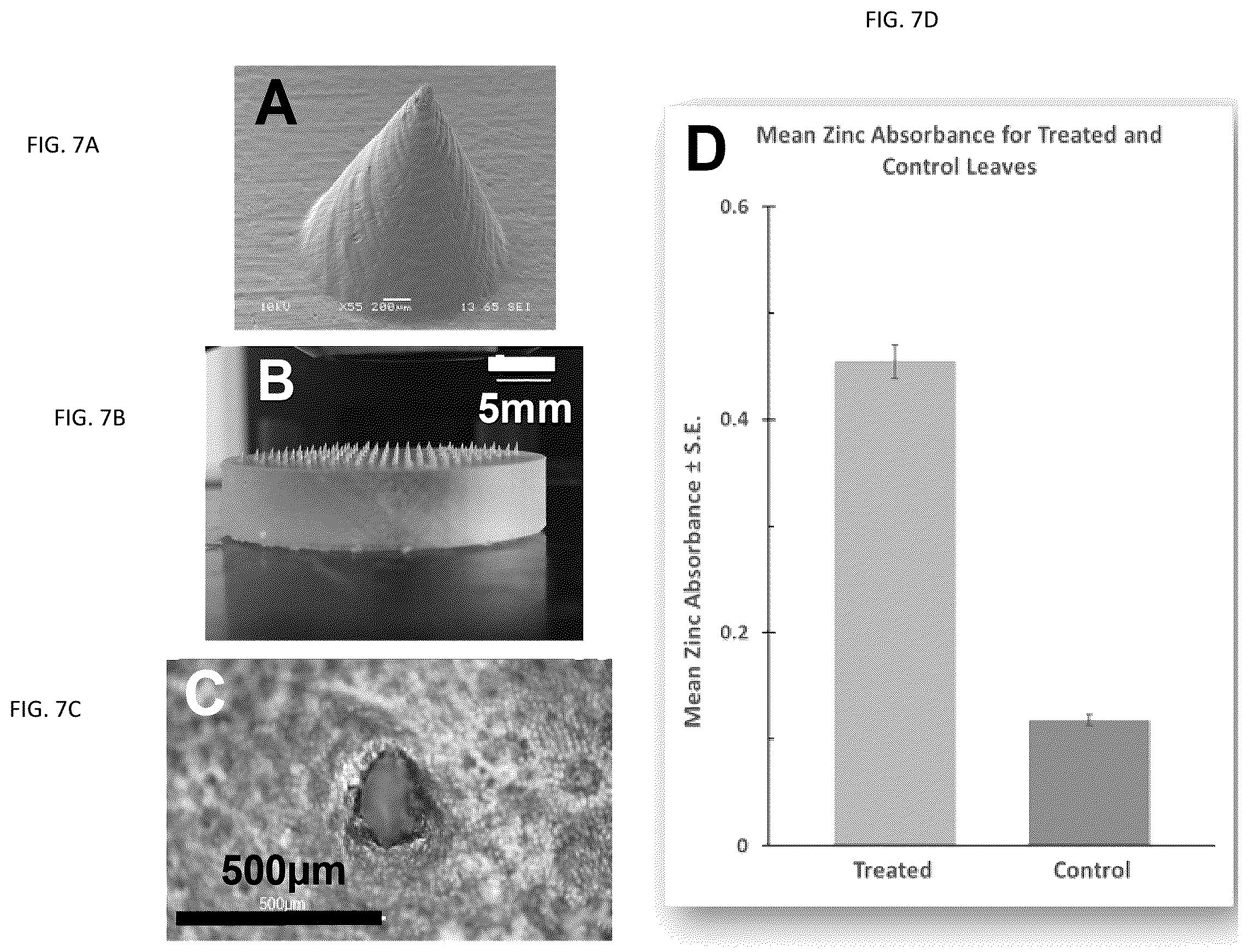 Patent US12137647 Figure 5 – Phloem-based delivery of therapeutics