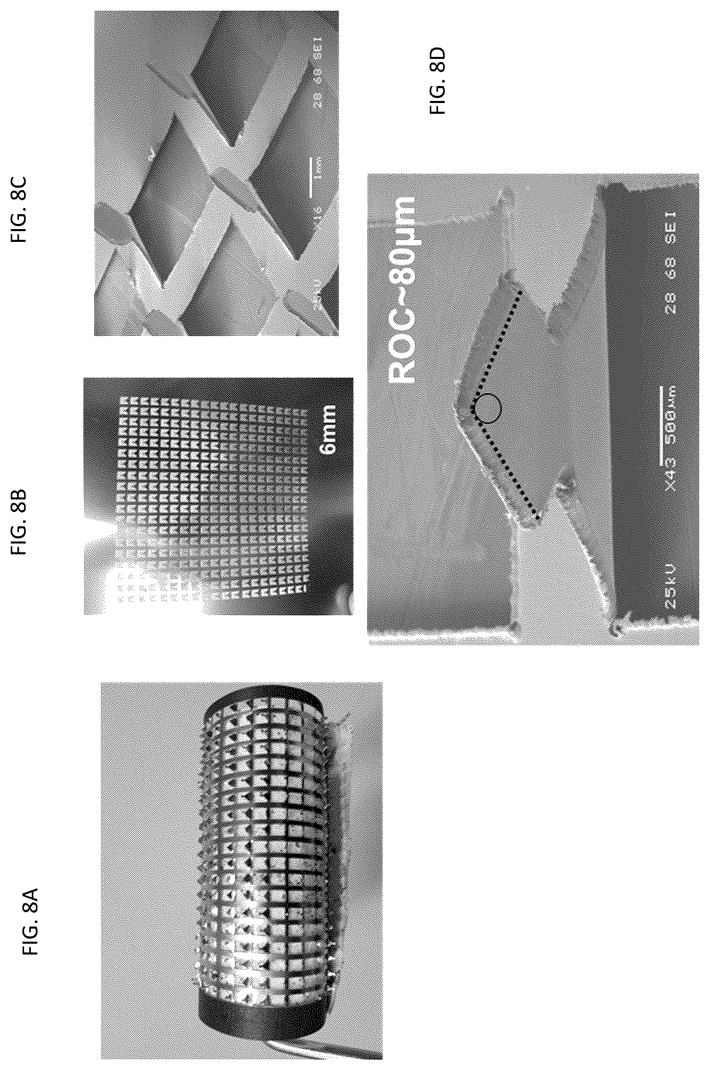 Patent US12137647 Figure 6 – Phloem-based delivery of therapeutics