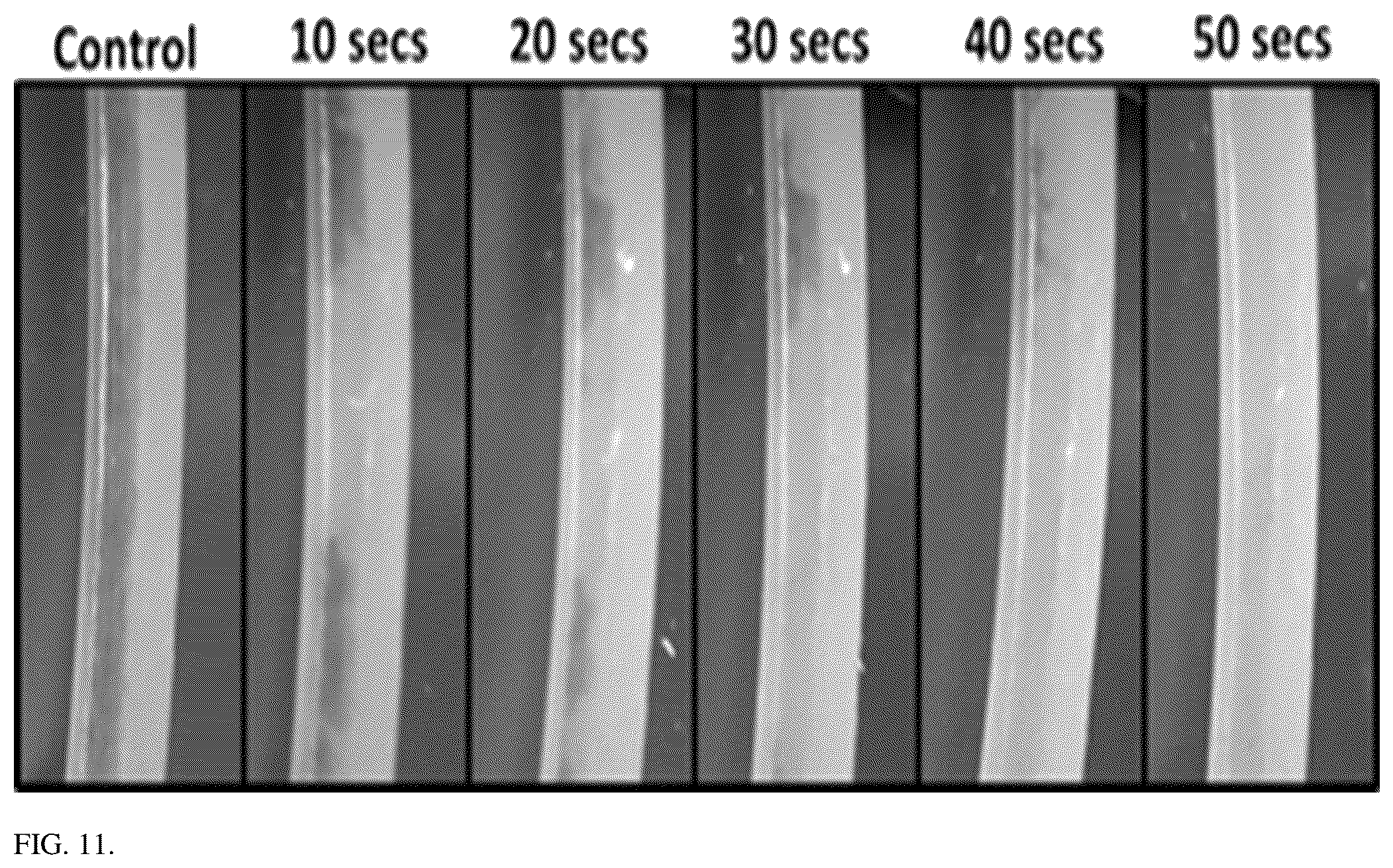Patent US12137647 Figure 9 – Phloem-based delivery of therapeutics