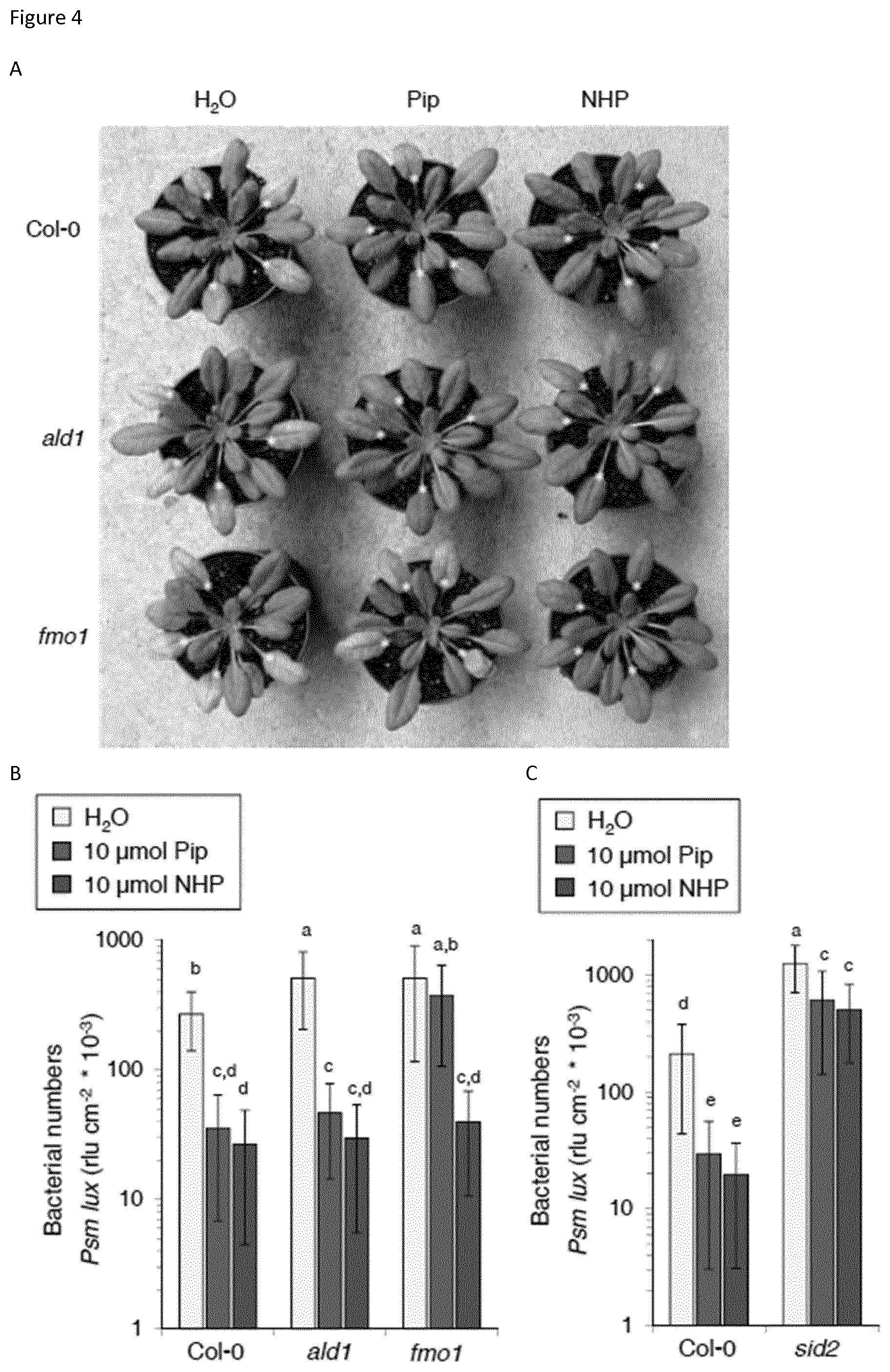 Patent US12137687 Figure 6 – Method for inducing acquired resistance in a plant