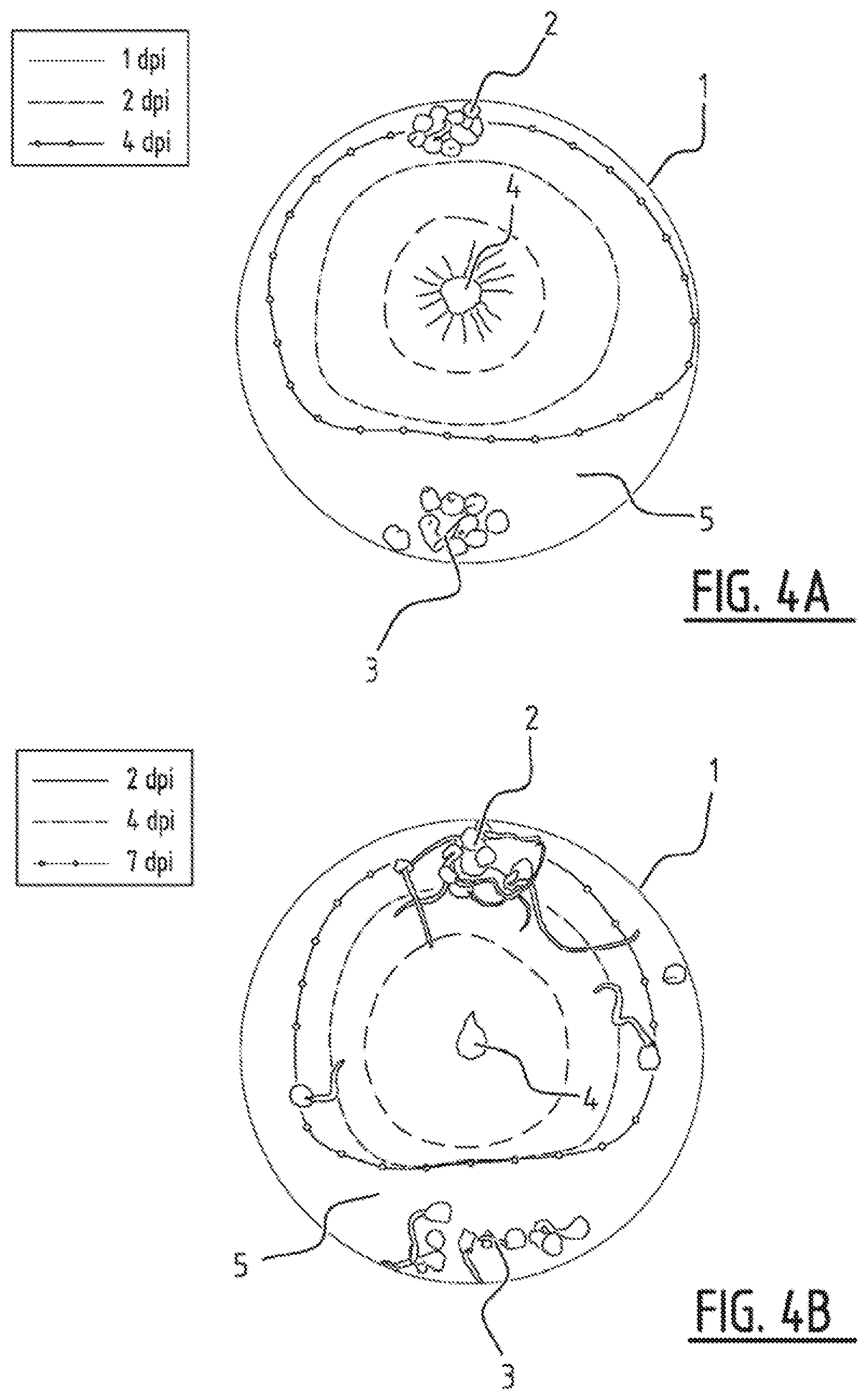 Patent US12137691 Figure 5 – Method for treating plant seed