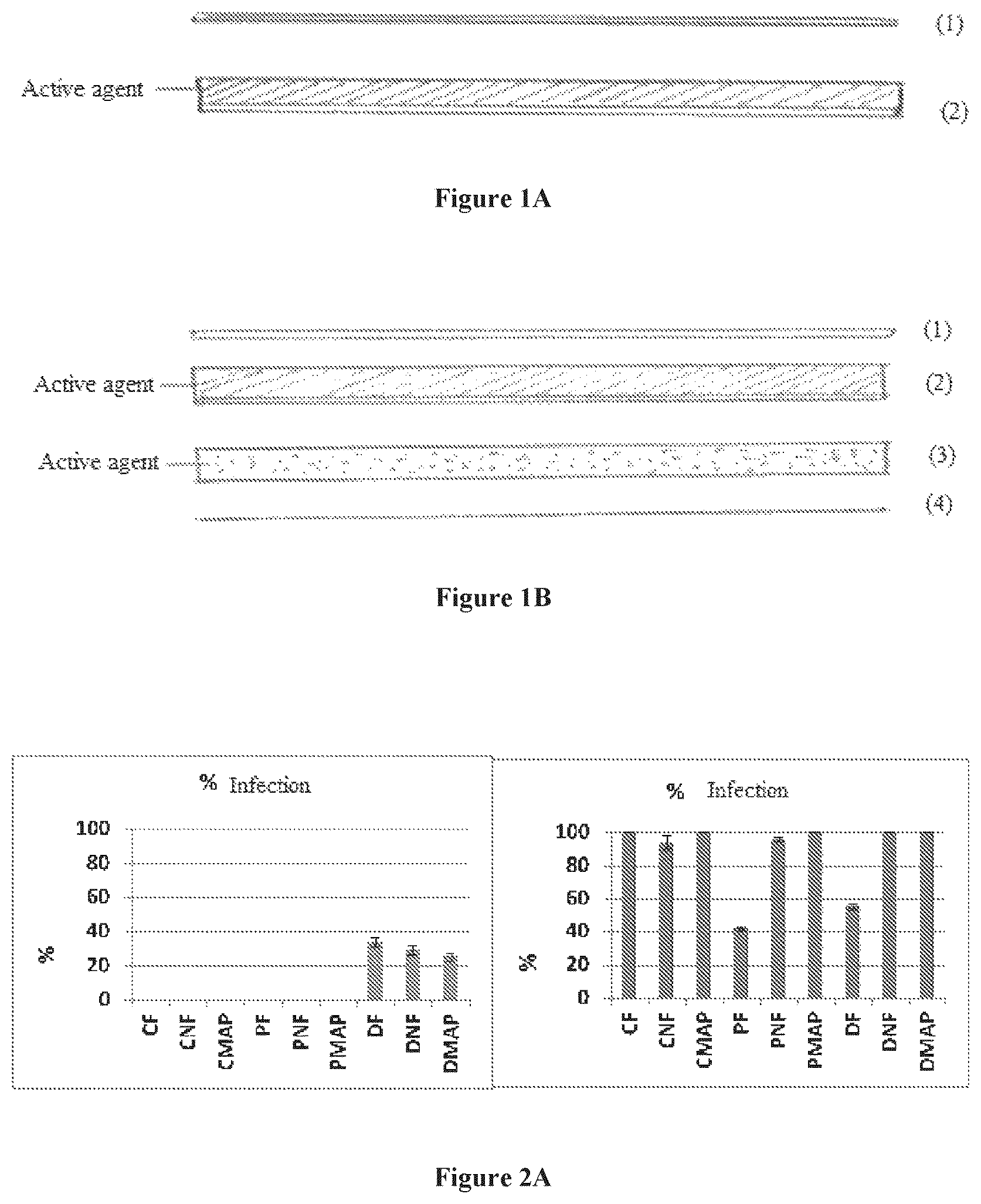 Patent US12137698 Figure 1 – Multilayer structure for active packaging, process and method of using the same