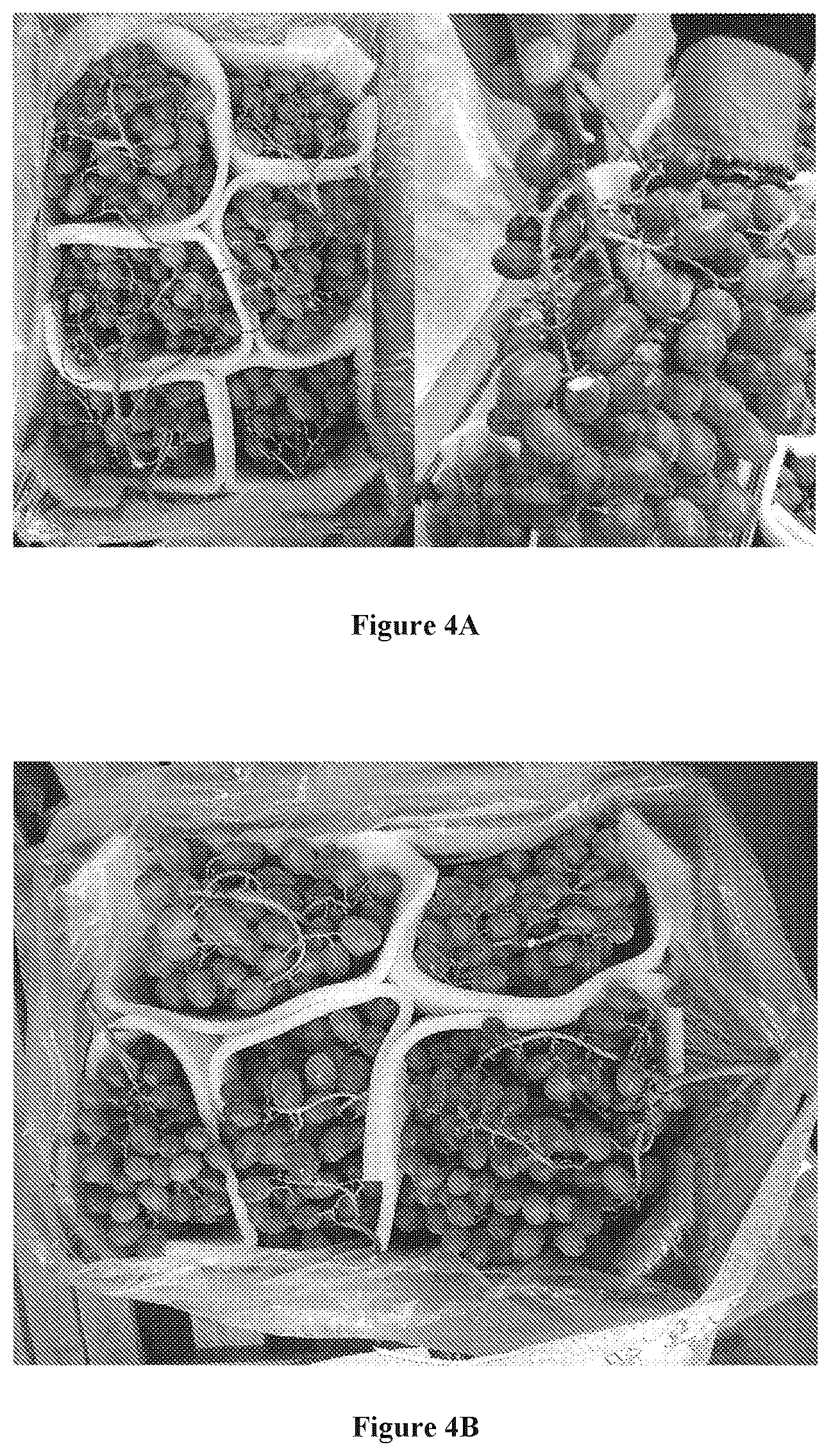 Patent US12137698 Figure 3 – Multilayer structure for active packaging, process and method of using the same
