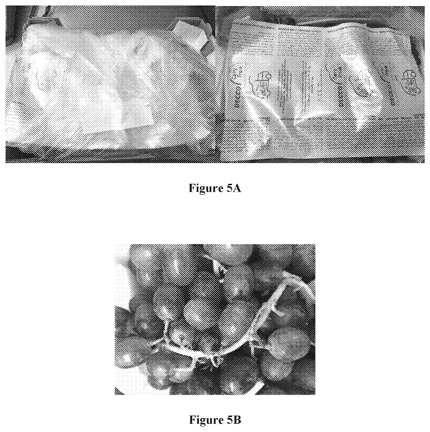Patent US12137698 Figure 4 – Multilayer structure for active packaging, process and method of using the same