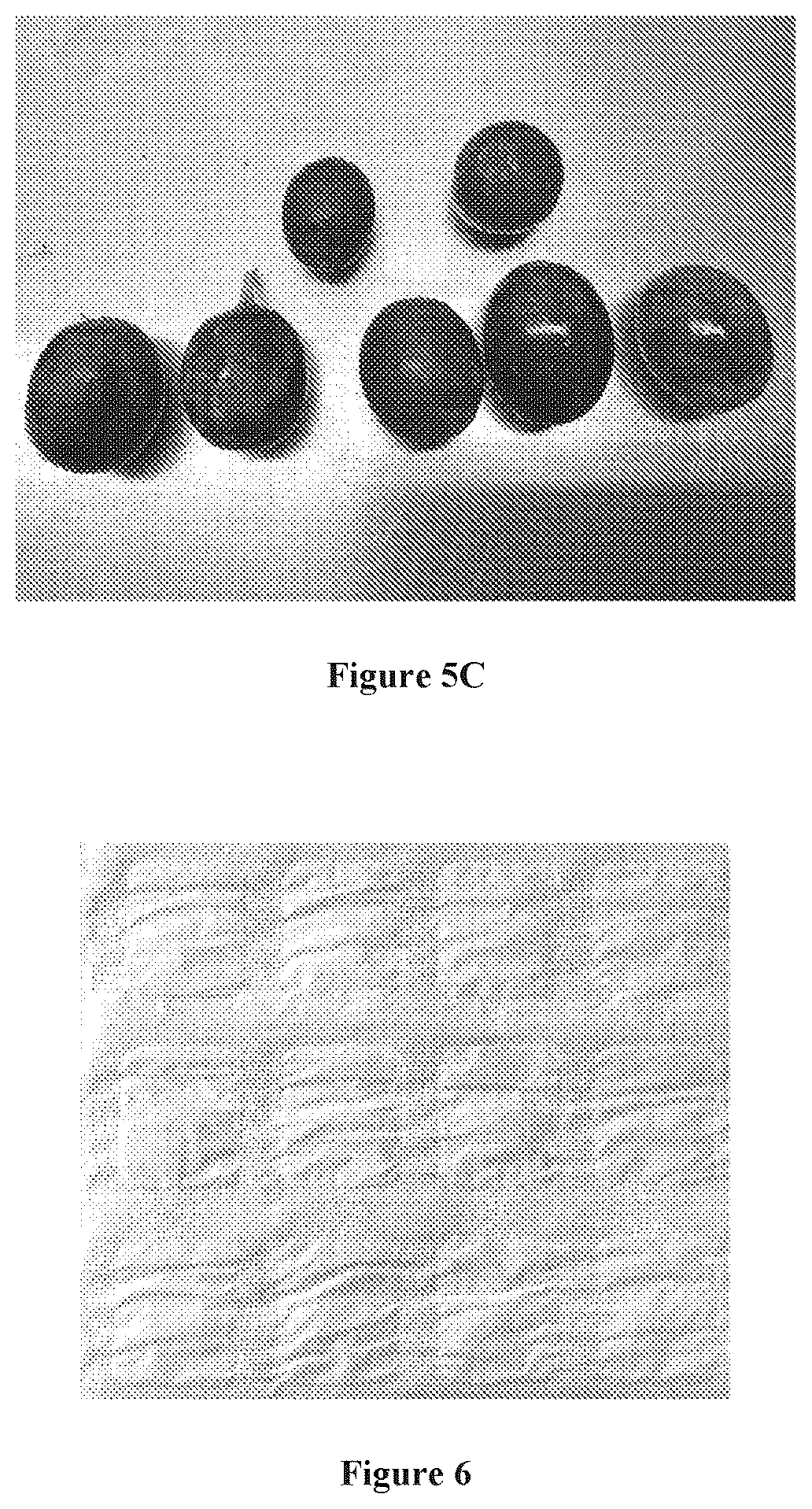 Patent US12137698 Figure 5 – Multilayer structure for active packaging, process and method of using the same