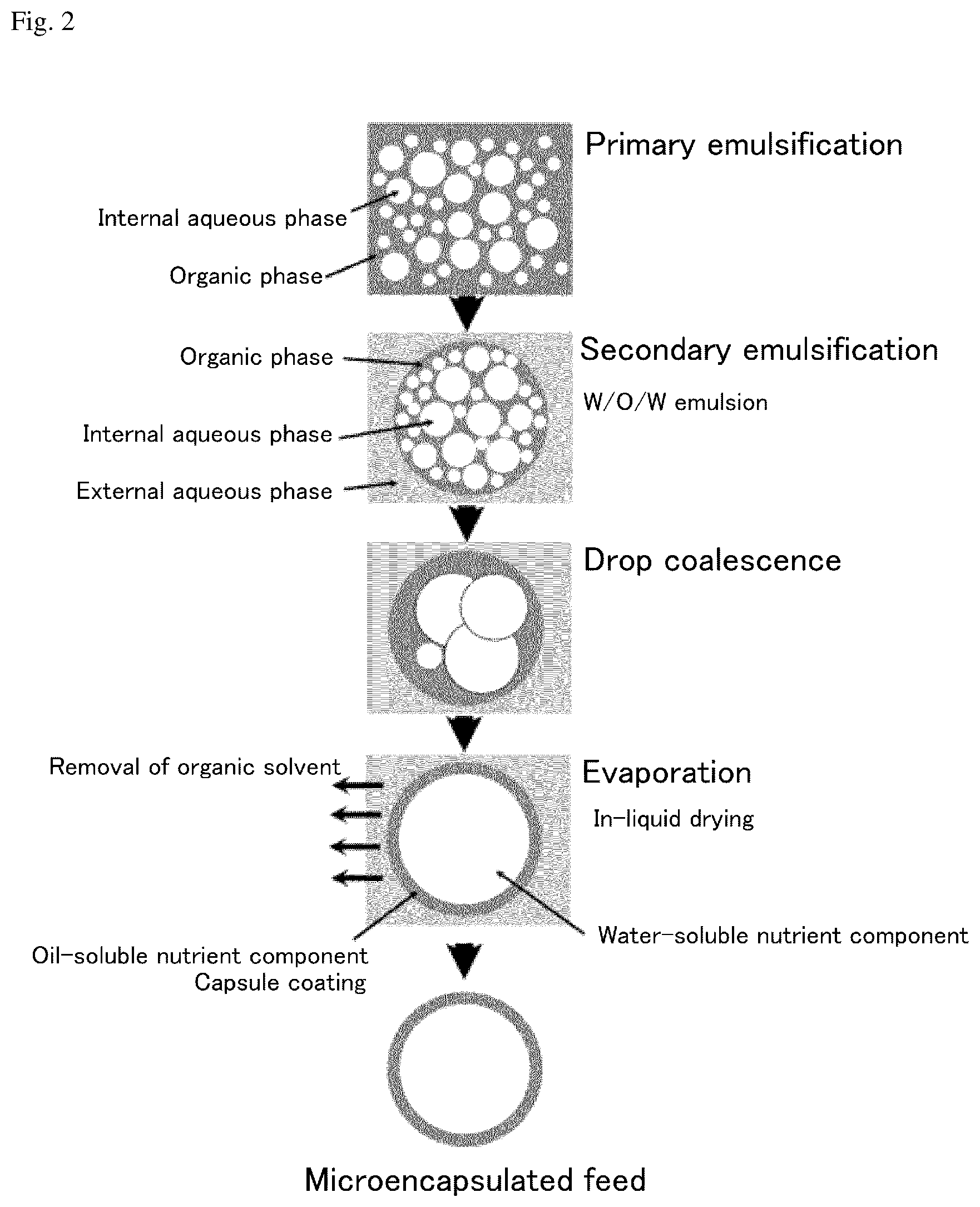 Patent US12137706 Figure 2 – Micro-encapsulated aquaculture feed