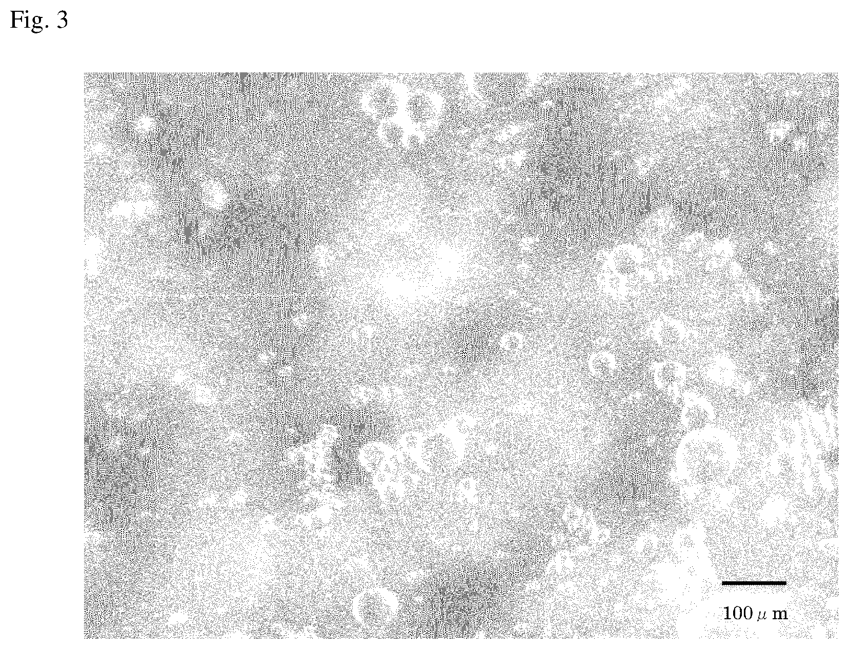 Patent US12137706 Figure 3 – Micro-encapsulated aquaculture feed