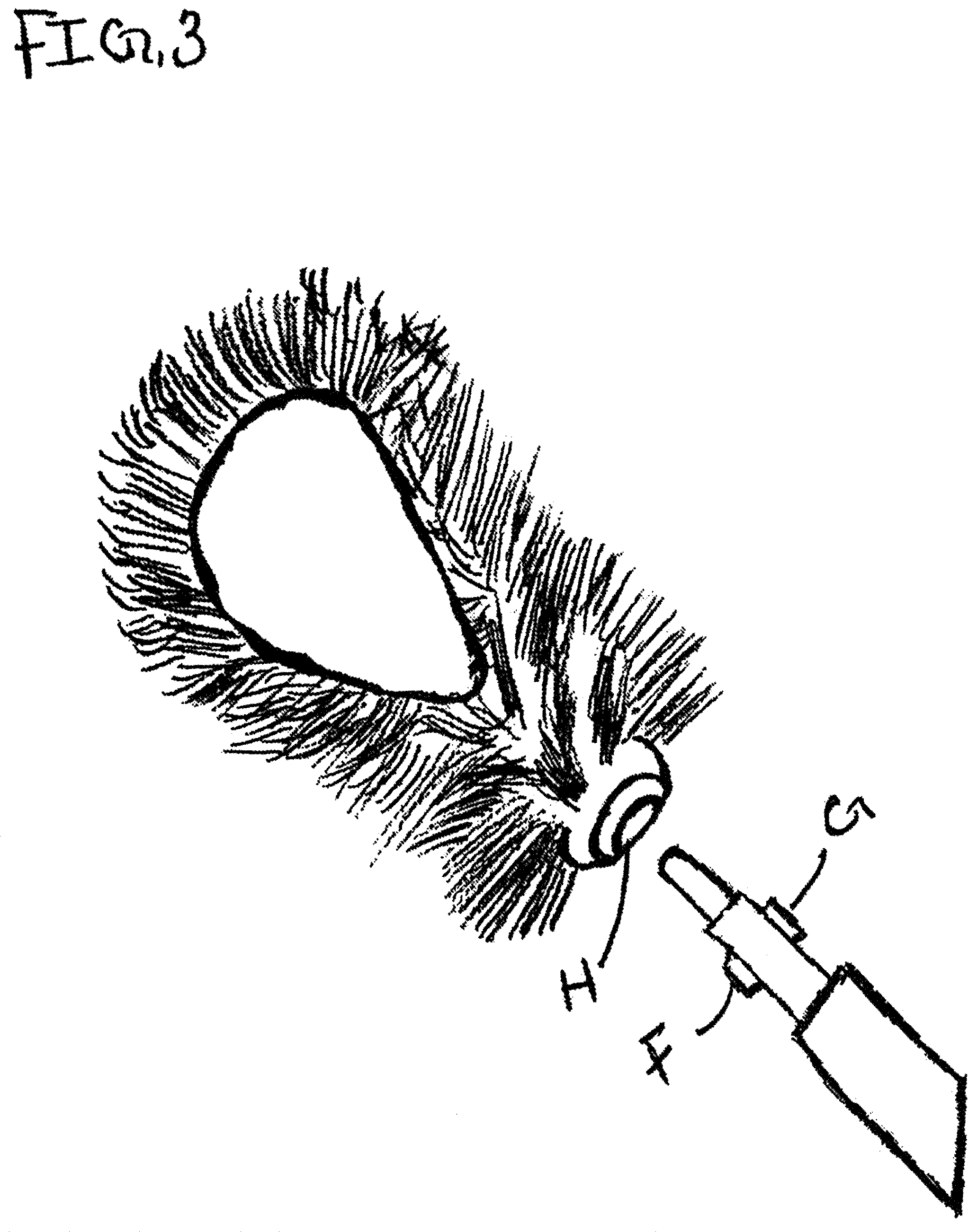 Patent US12137799 Figure 3 – Brush easy