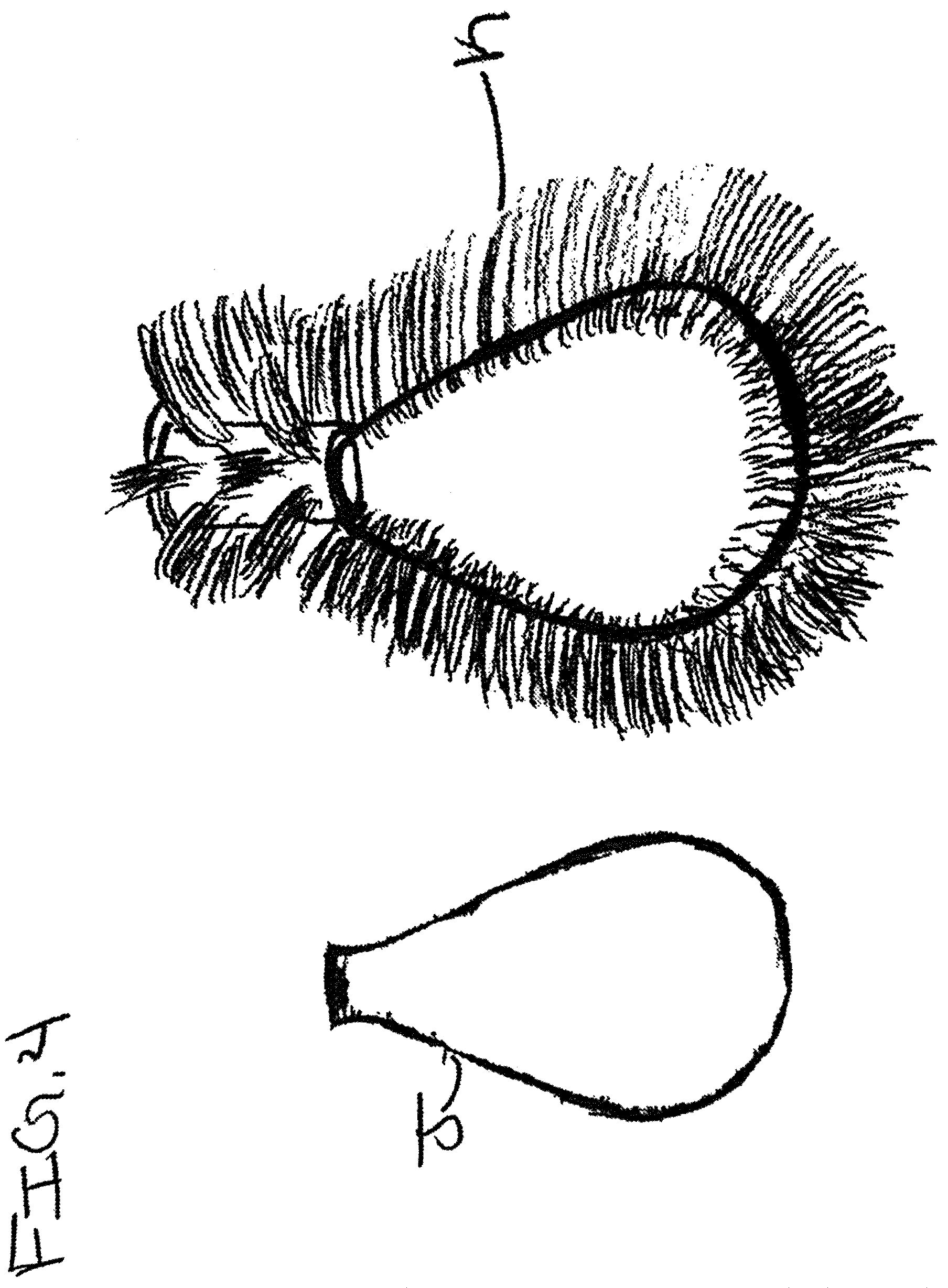 Patent US12137799 Figure 4 – Brush easy
